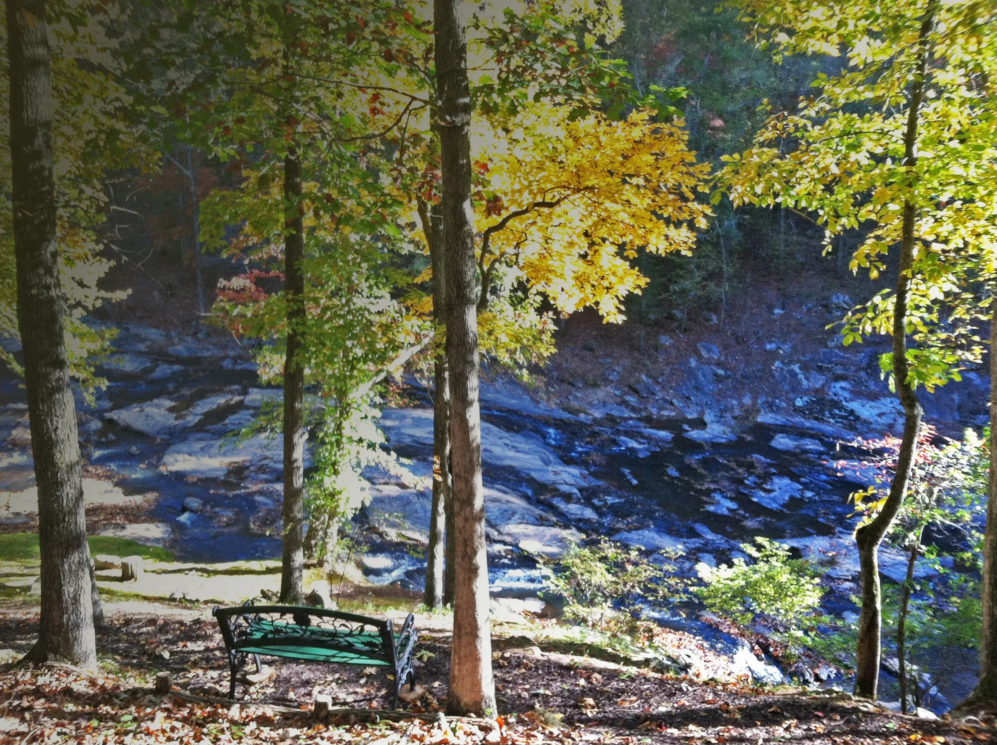 A park scene with tall trees, a river flowing over rocks in the background, a bench in the foreground, and the sunlight filtering through the leaves, showcasing early autumn colors.
