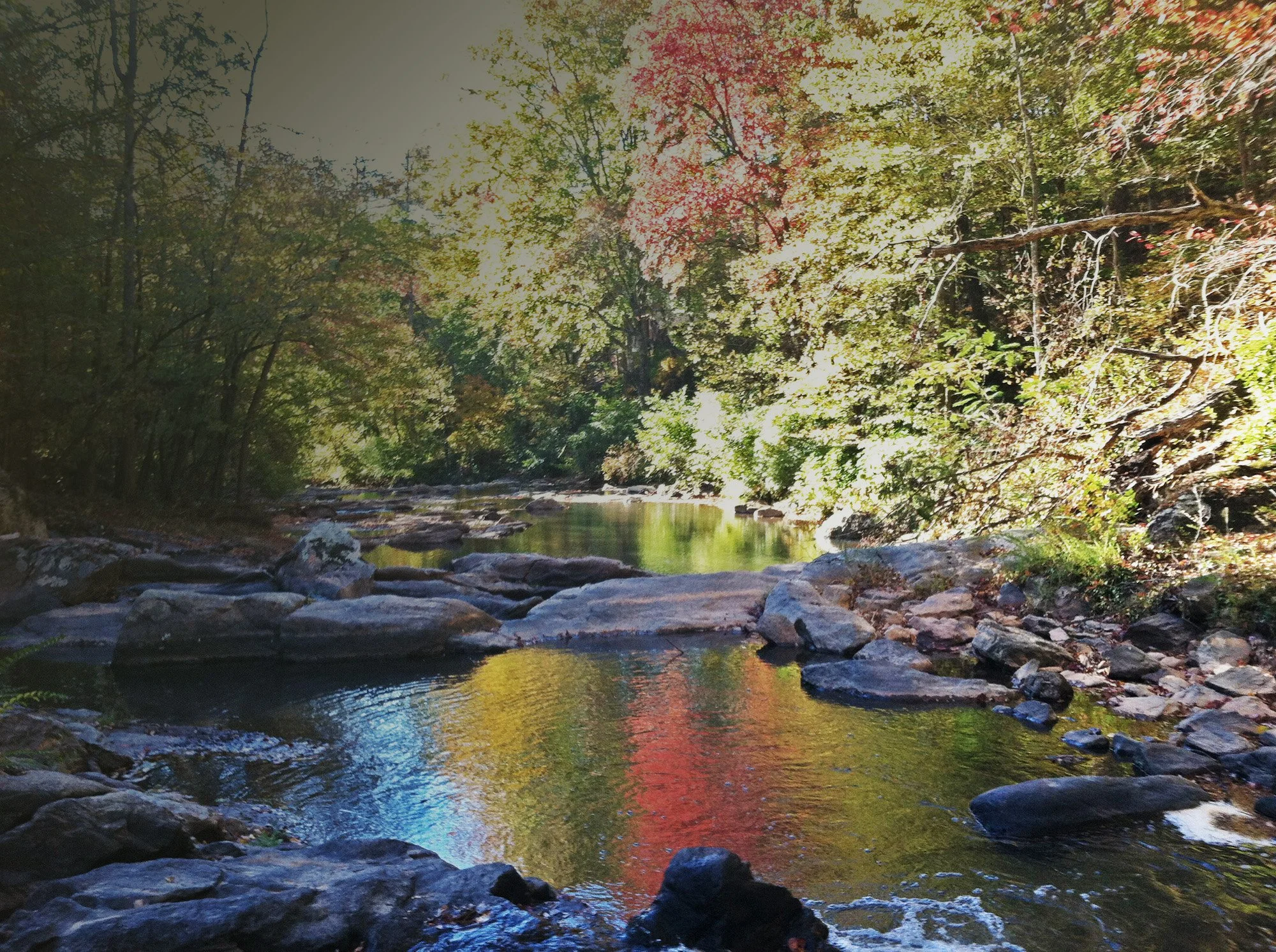 A peaceful forest scene with a river flowing through rocks, surrounded by trees with green and red autumn leaves, under a bright sky.