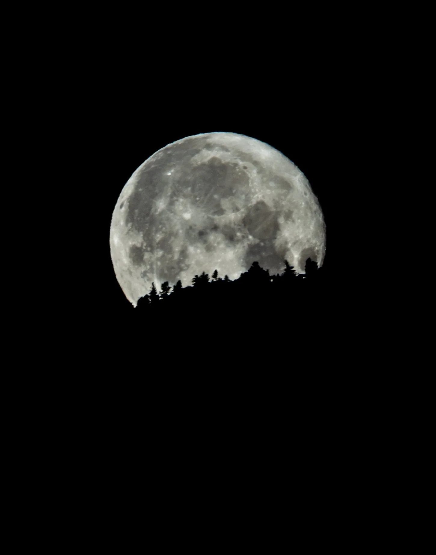 DSC_8217.jpg