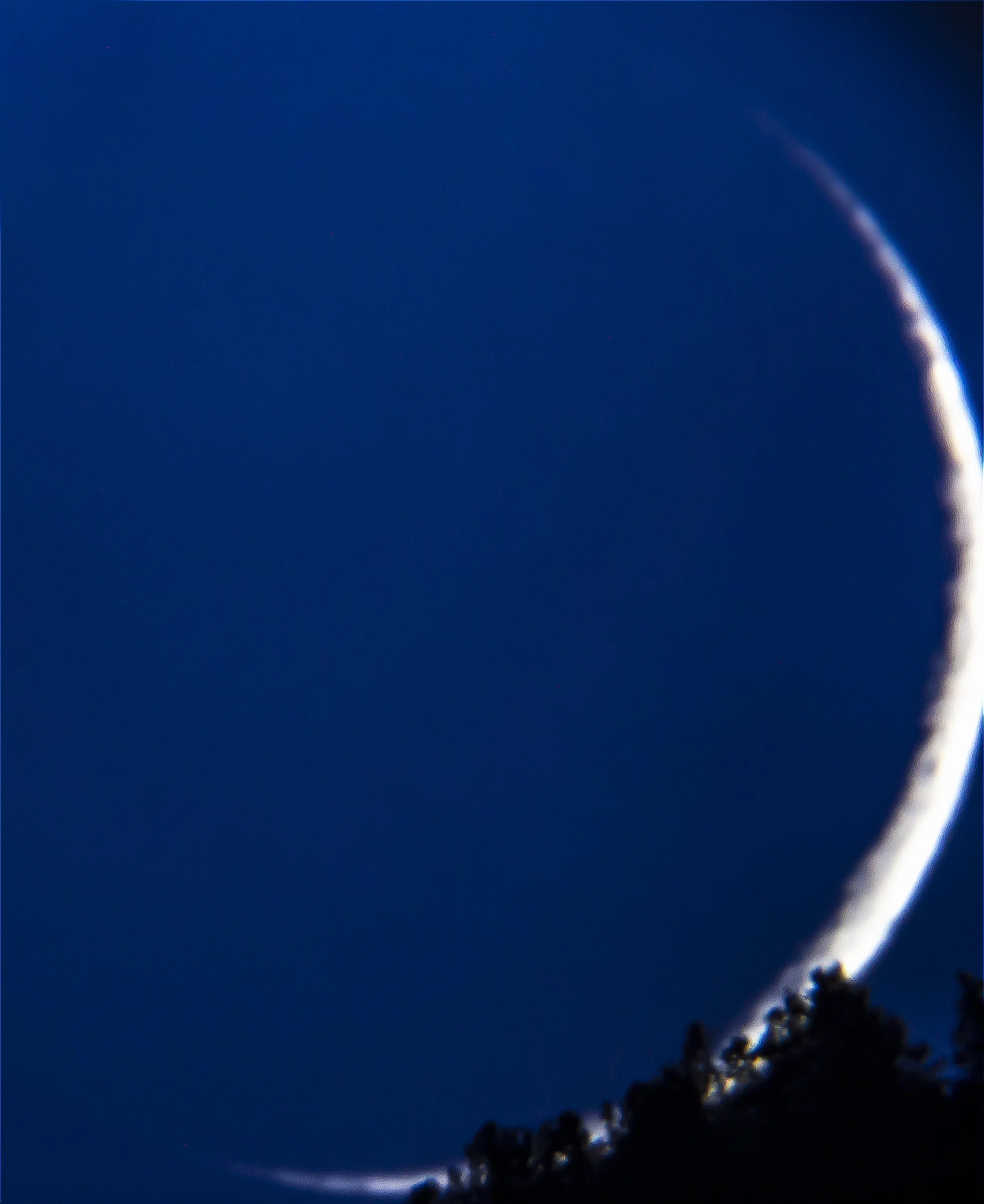 baby moon 4 percent r.jpg