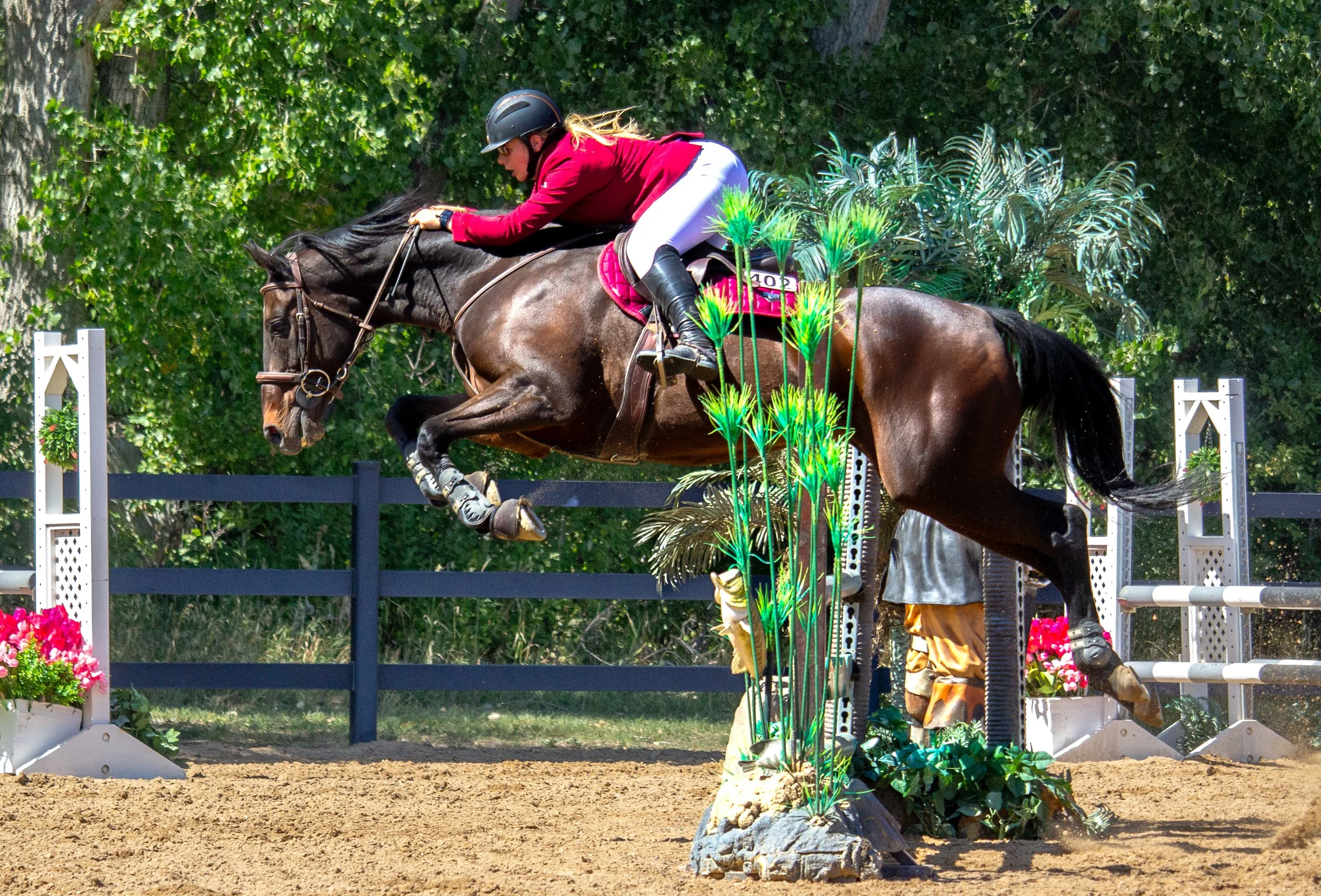 Equestrian
