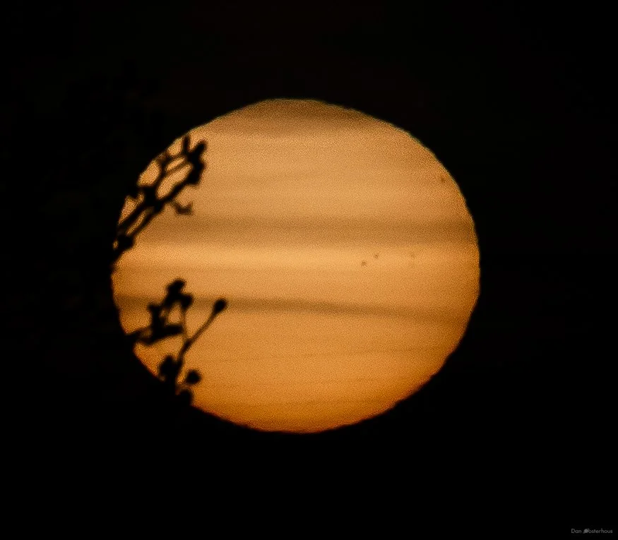 Sunrise (with sunspots) in my backyard, Castle Rock, Co, 8 Apr 2025. During 2-week period in spring when I can see sunrise through my kitchen window.