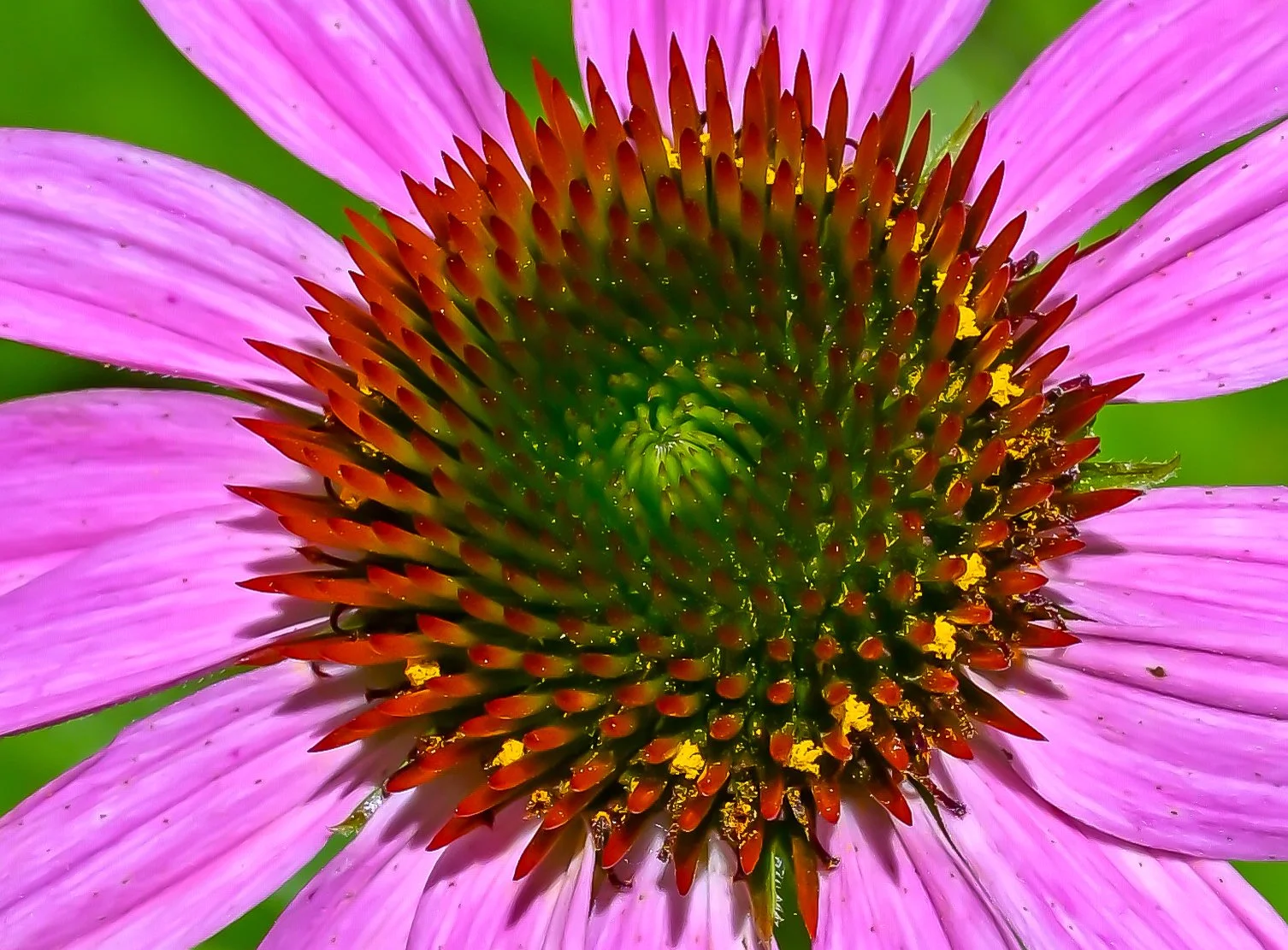 DSC_1148.jpg