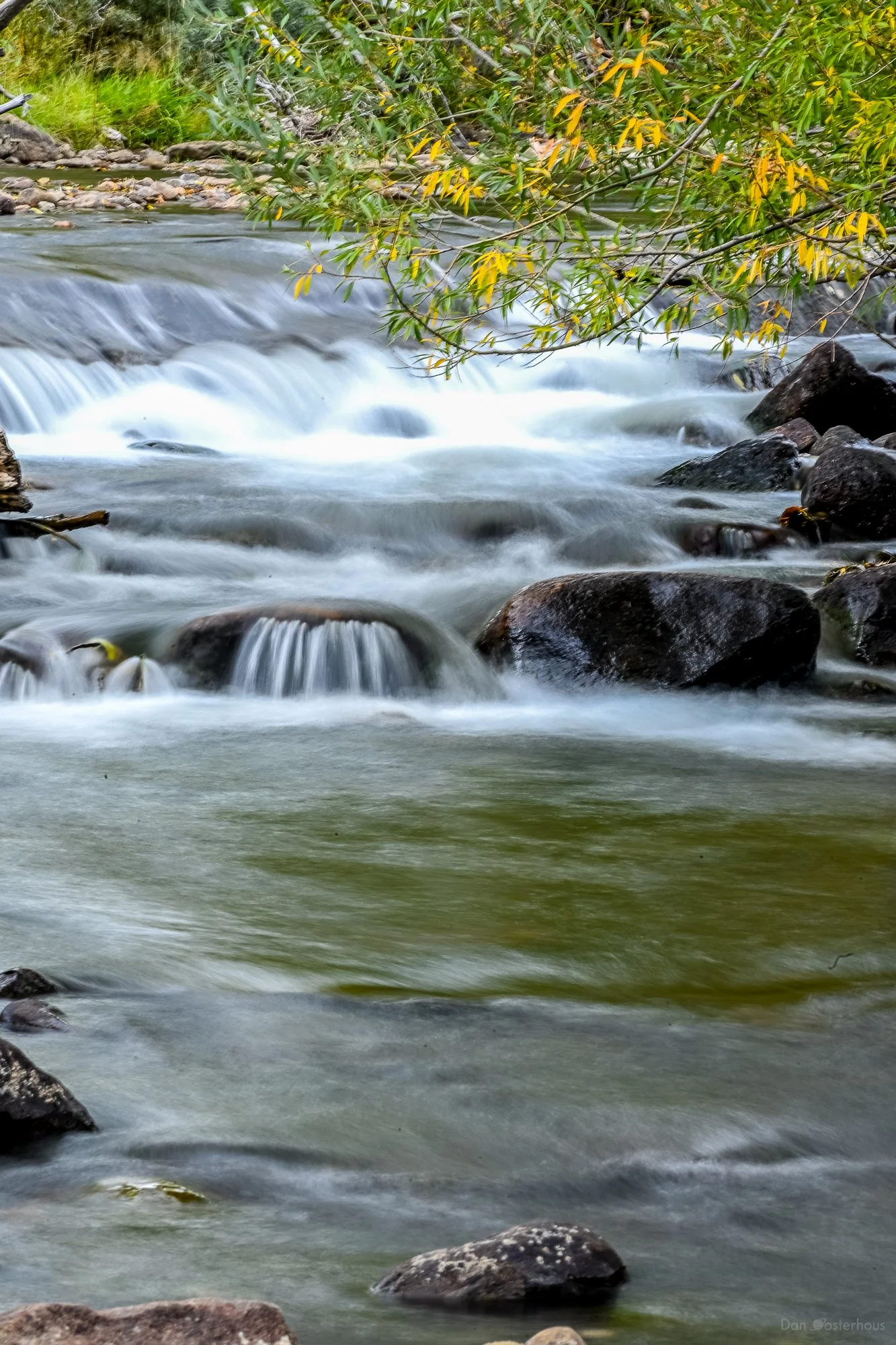 20251006-DSC_2533.jpg