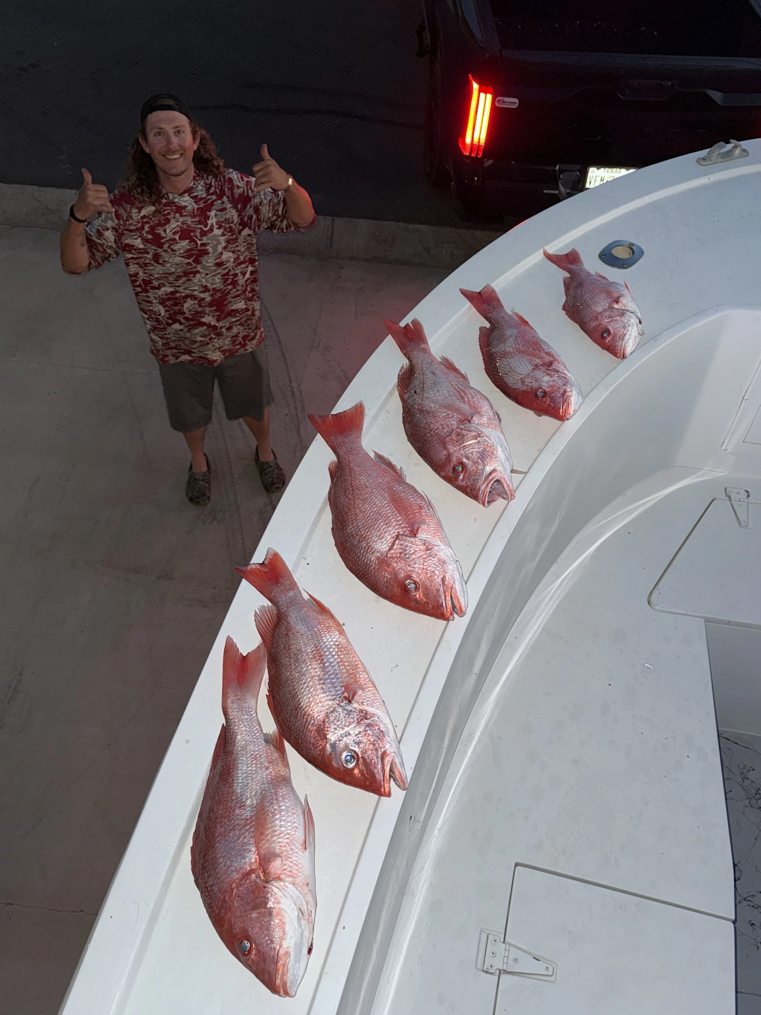 6 Hour Snapper and Bottom Fishing