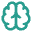 A shape of a brain