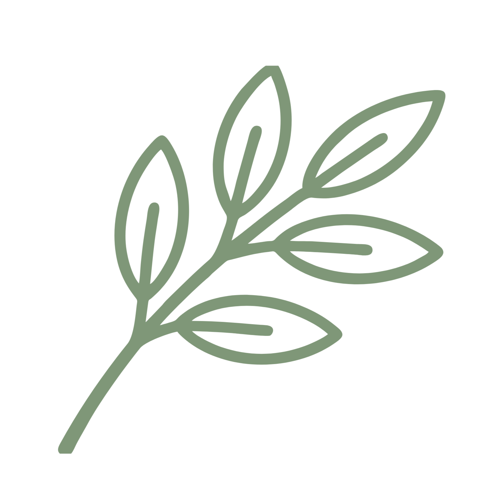 Minimal illustration of a sprig of leaves in green outline style on a black background.