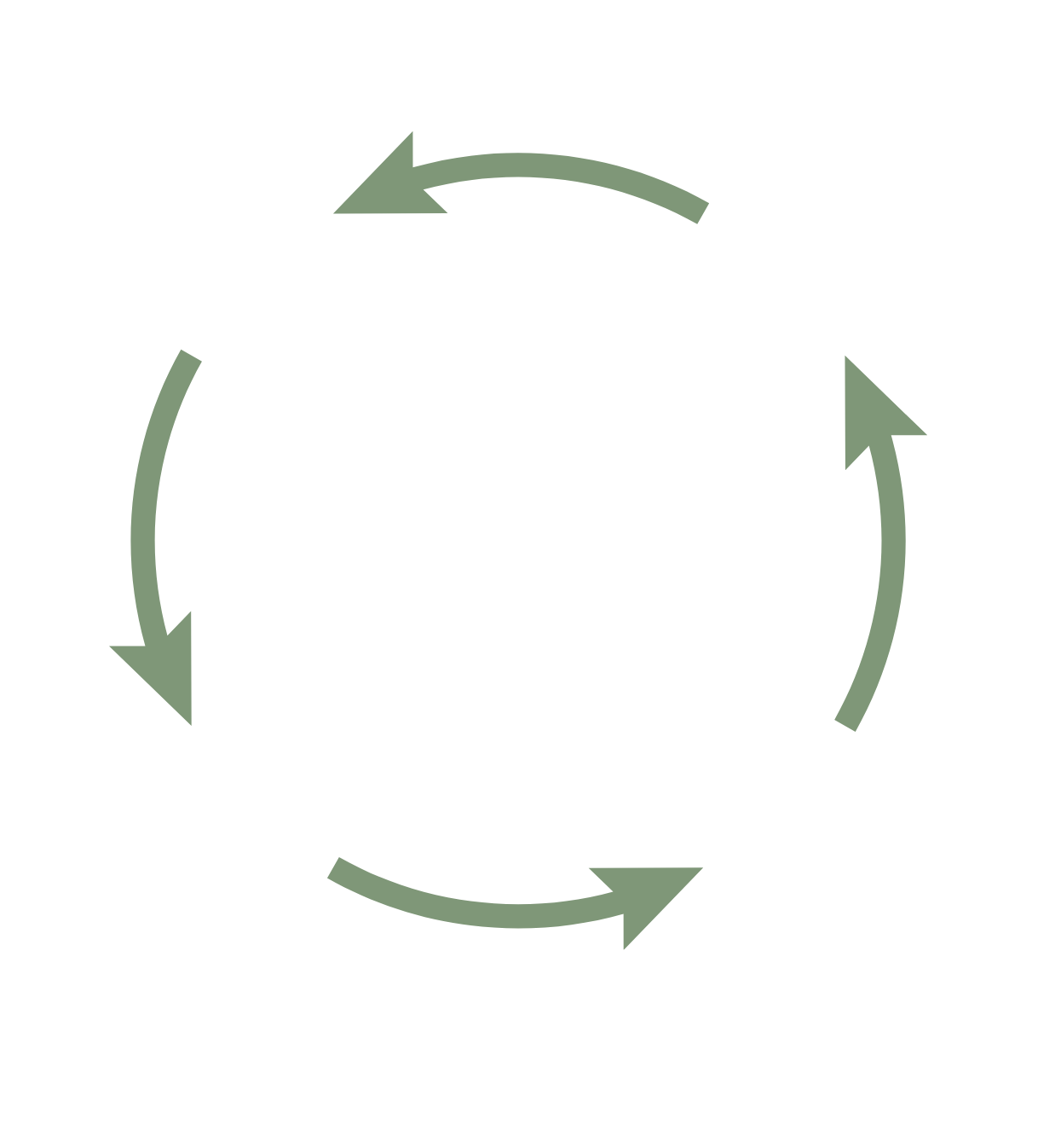 Cycle diagram with arrows indicating a continuous process.