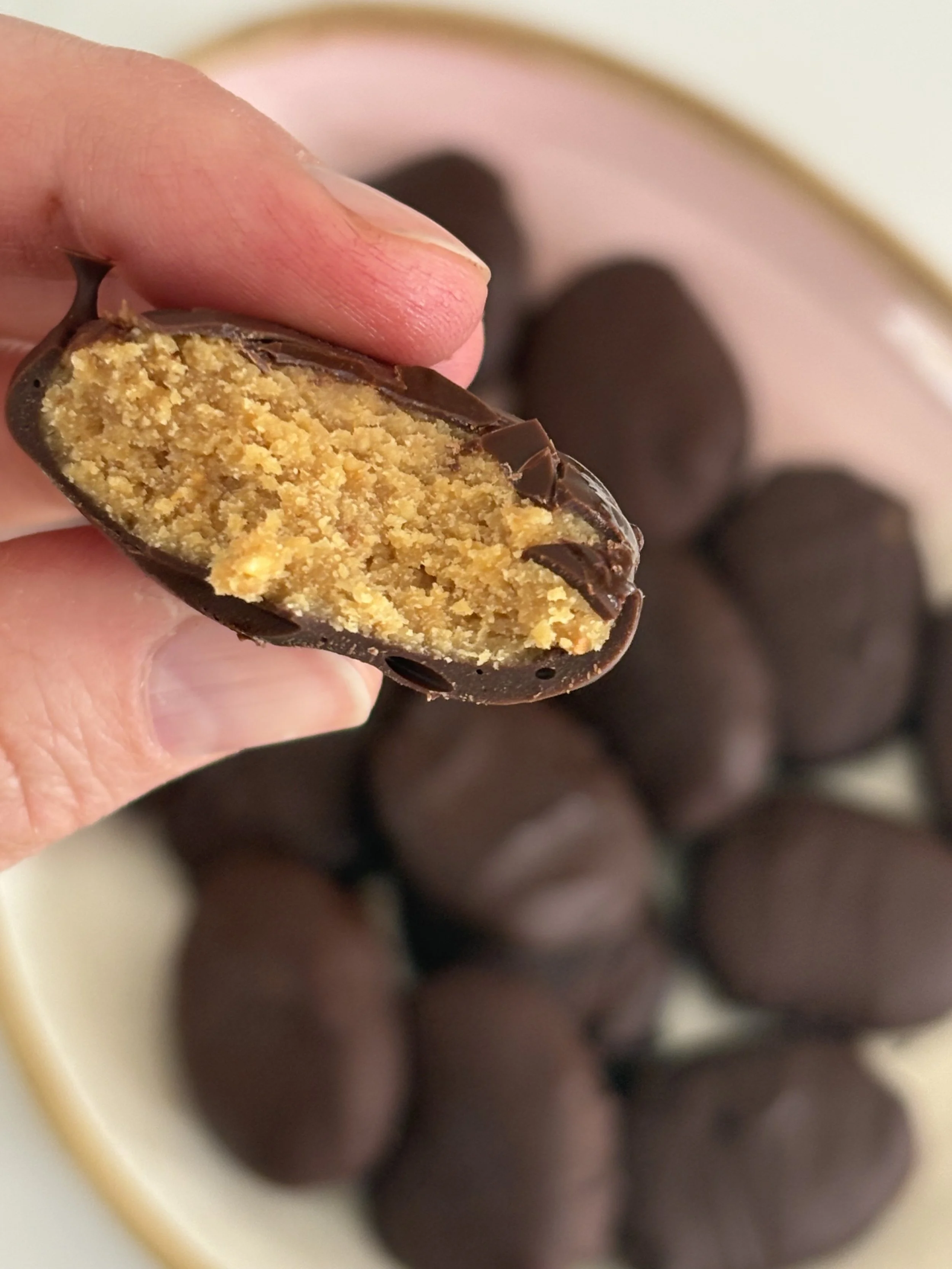 Chocolate Peanut Butter Bites