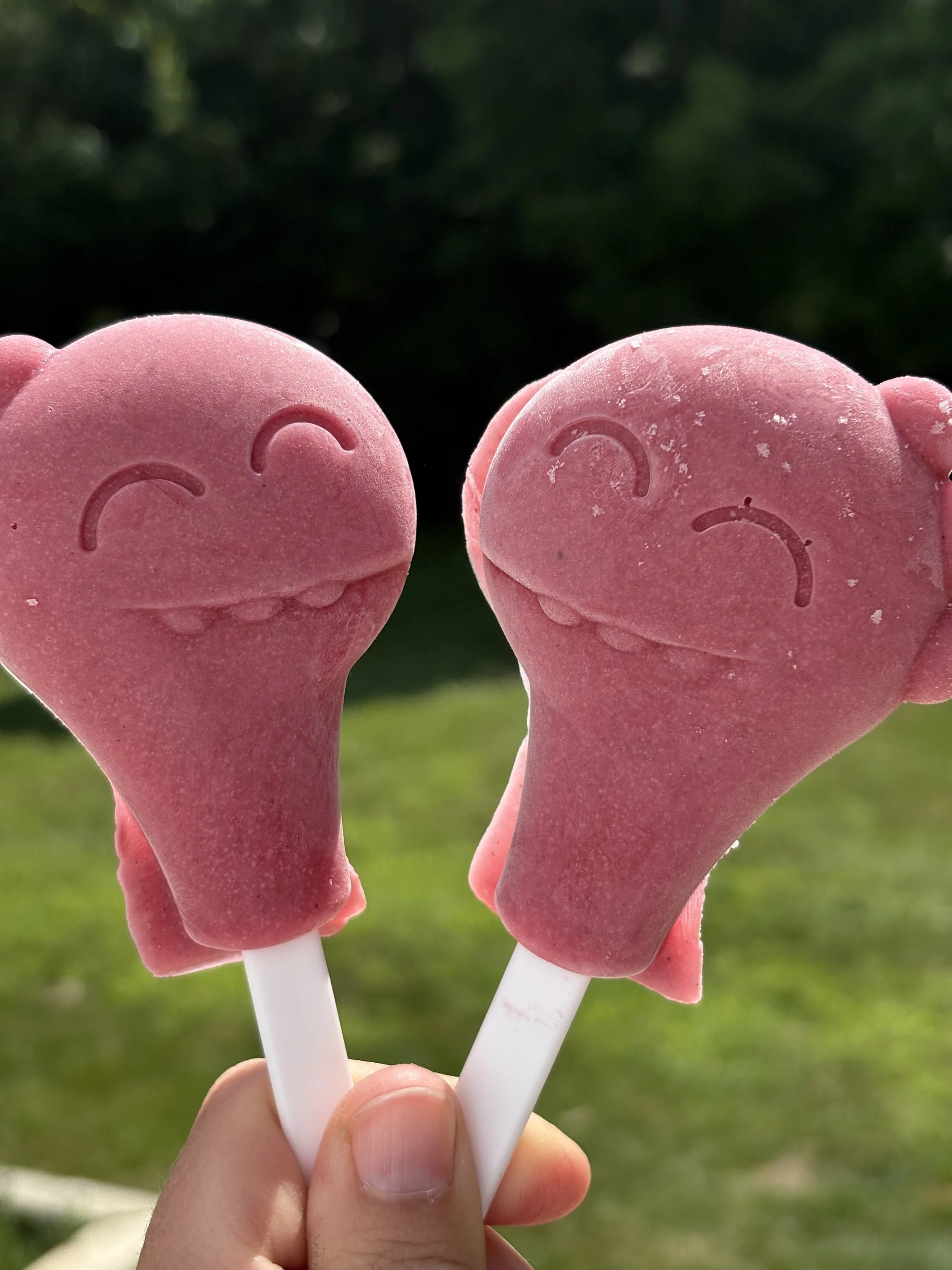 Berry Popsicles