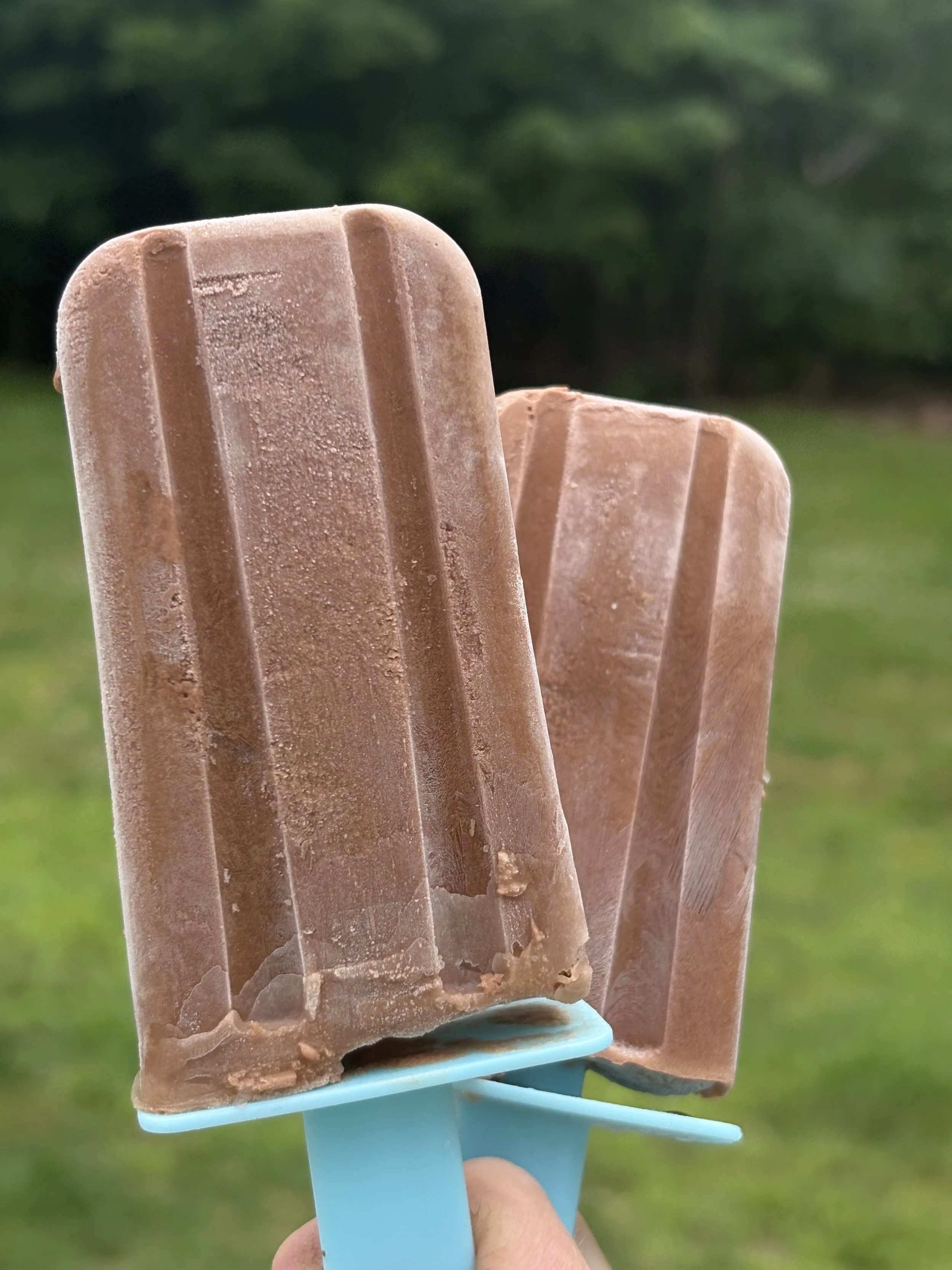 Fudgey Chocolate Popsicles