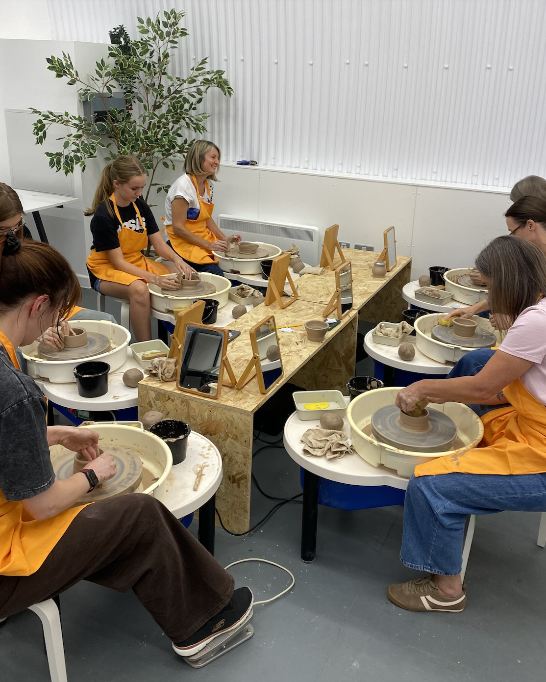 6 week throwing on the wheel course - Friday Evenings. January 29th - March 5th