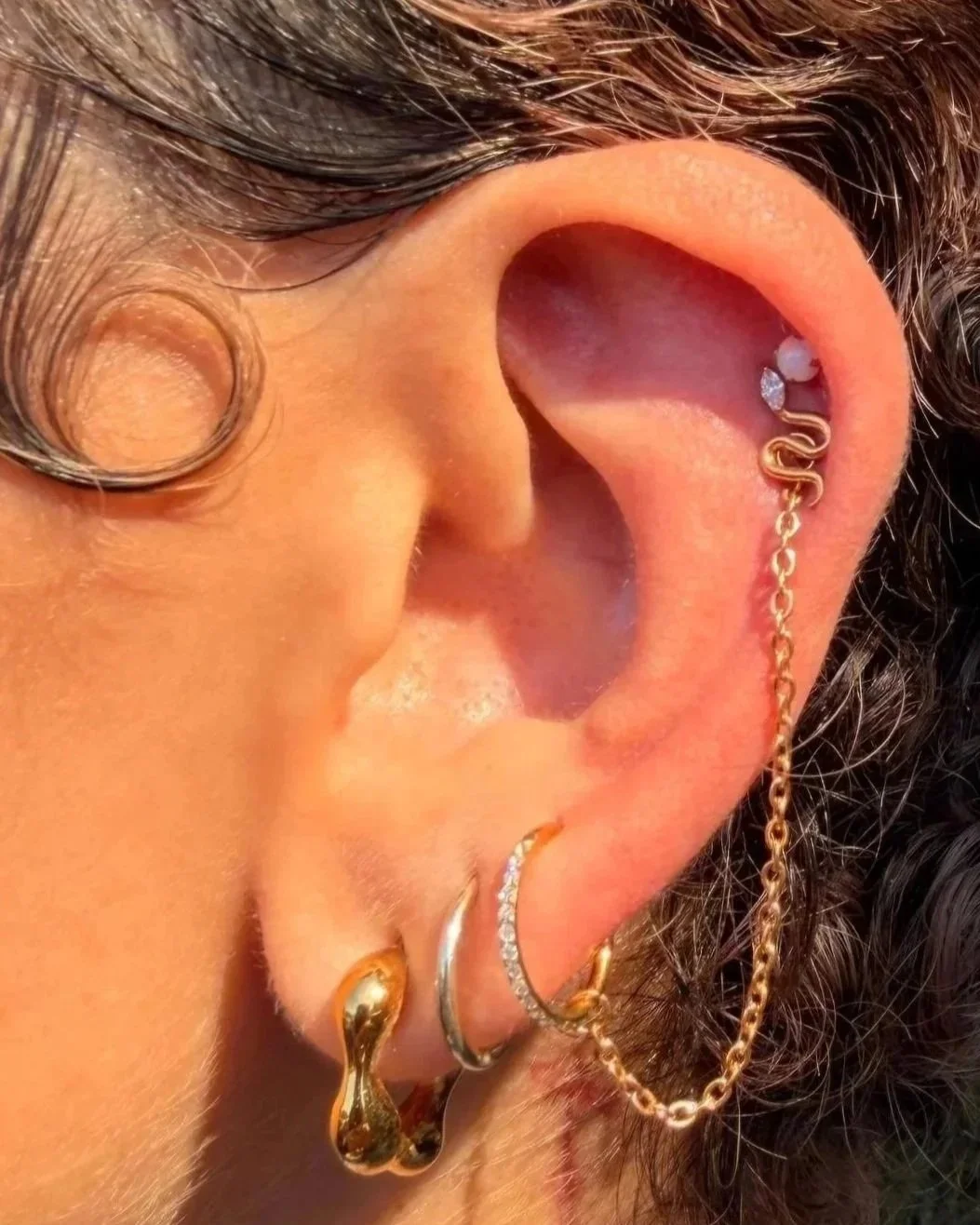 ear%25252B3.jpg