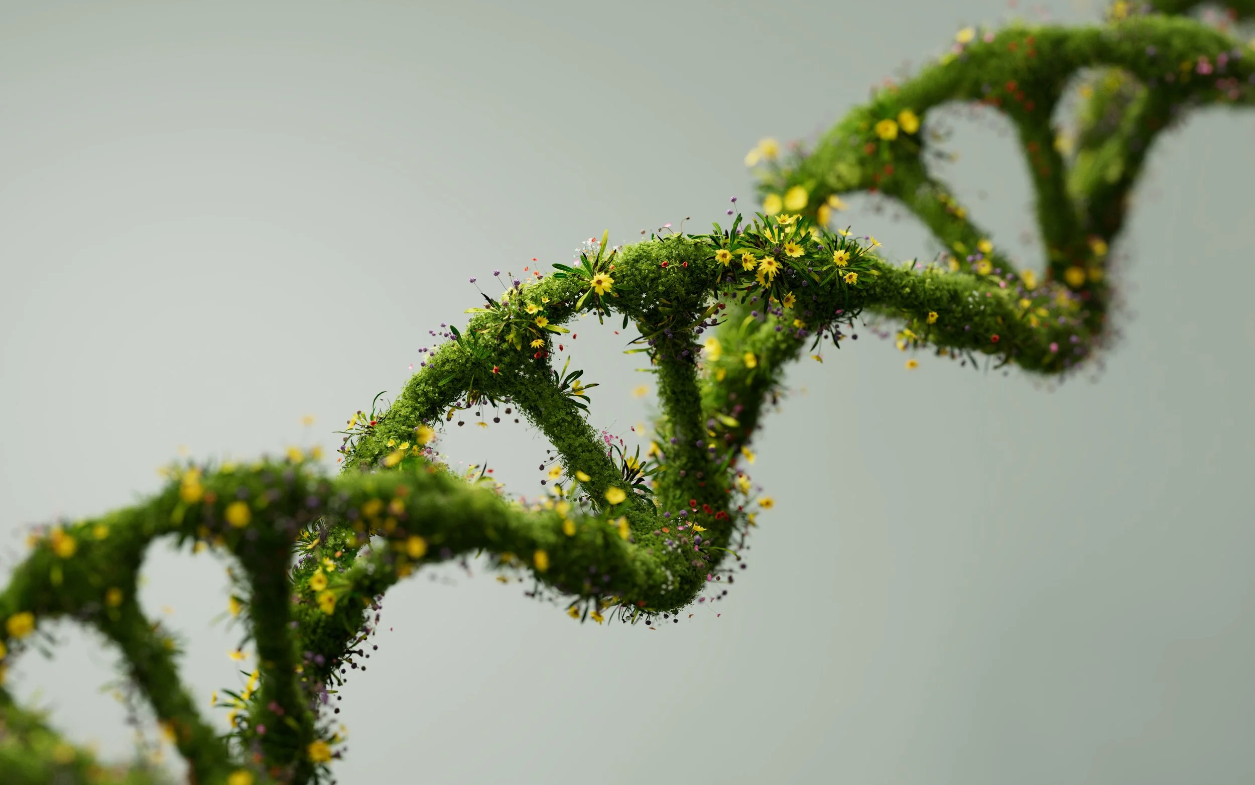 Close-up of a DNA double helix model made of green moss, decorated with small colorful flowers, against a plain background.