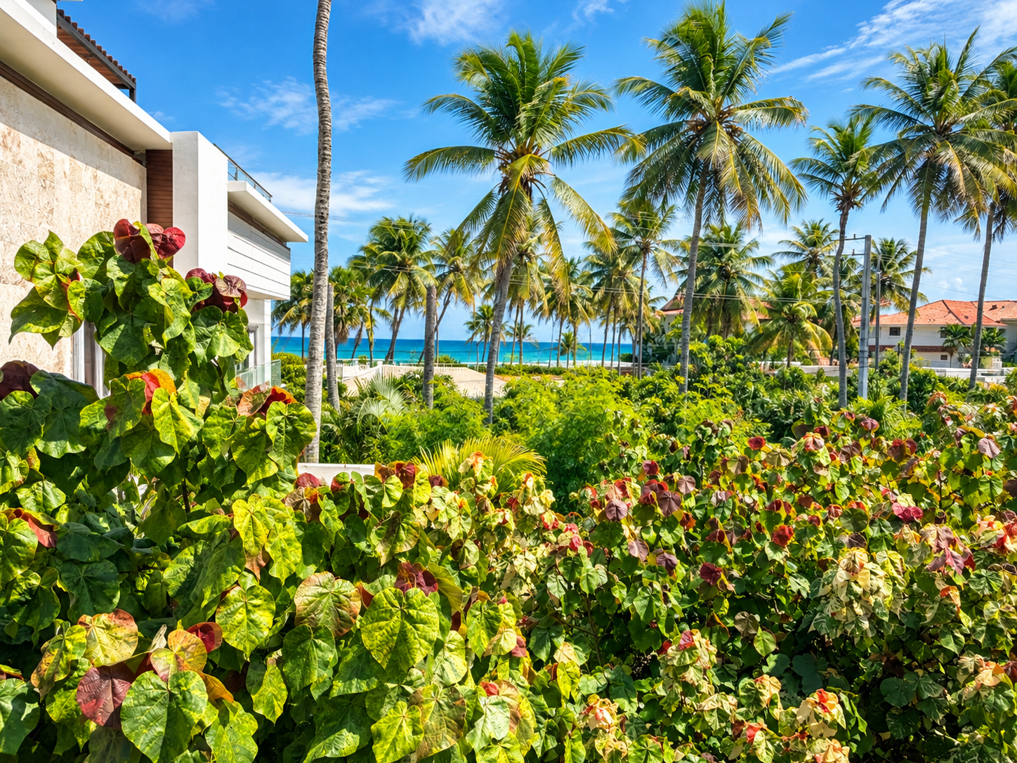 Sunlit Tropical Beachfront Garden.png