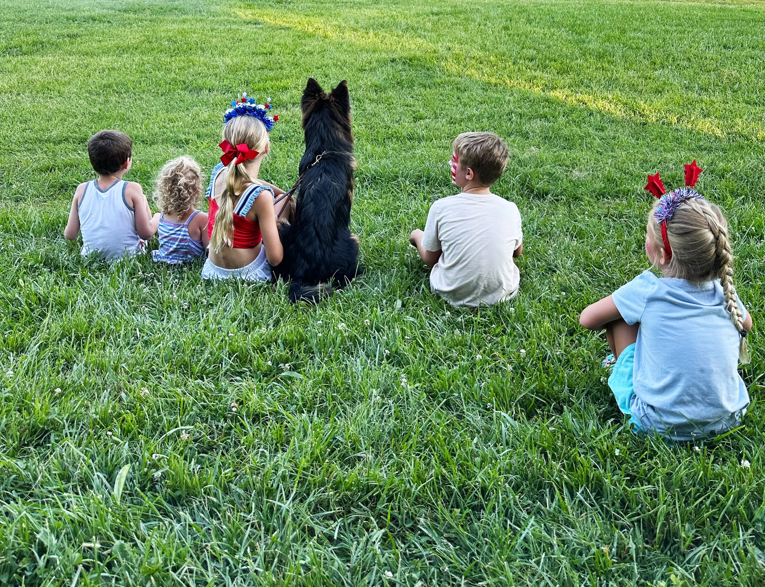 Early socialization creates confident pups