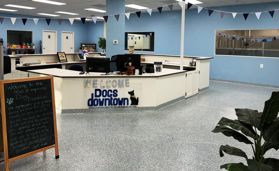 Lobby of Dogs Downtown training facility.