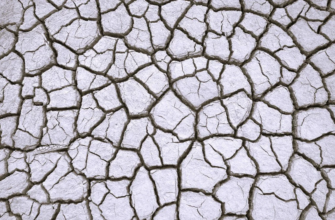Dry, cracked earth surface indicating drought or arid conditions.