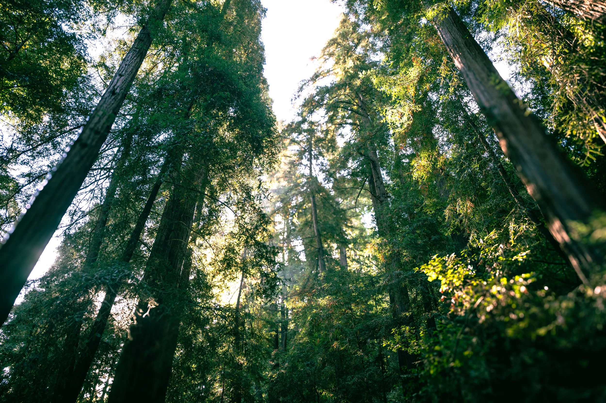 Big Sur