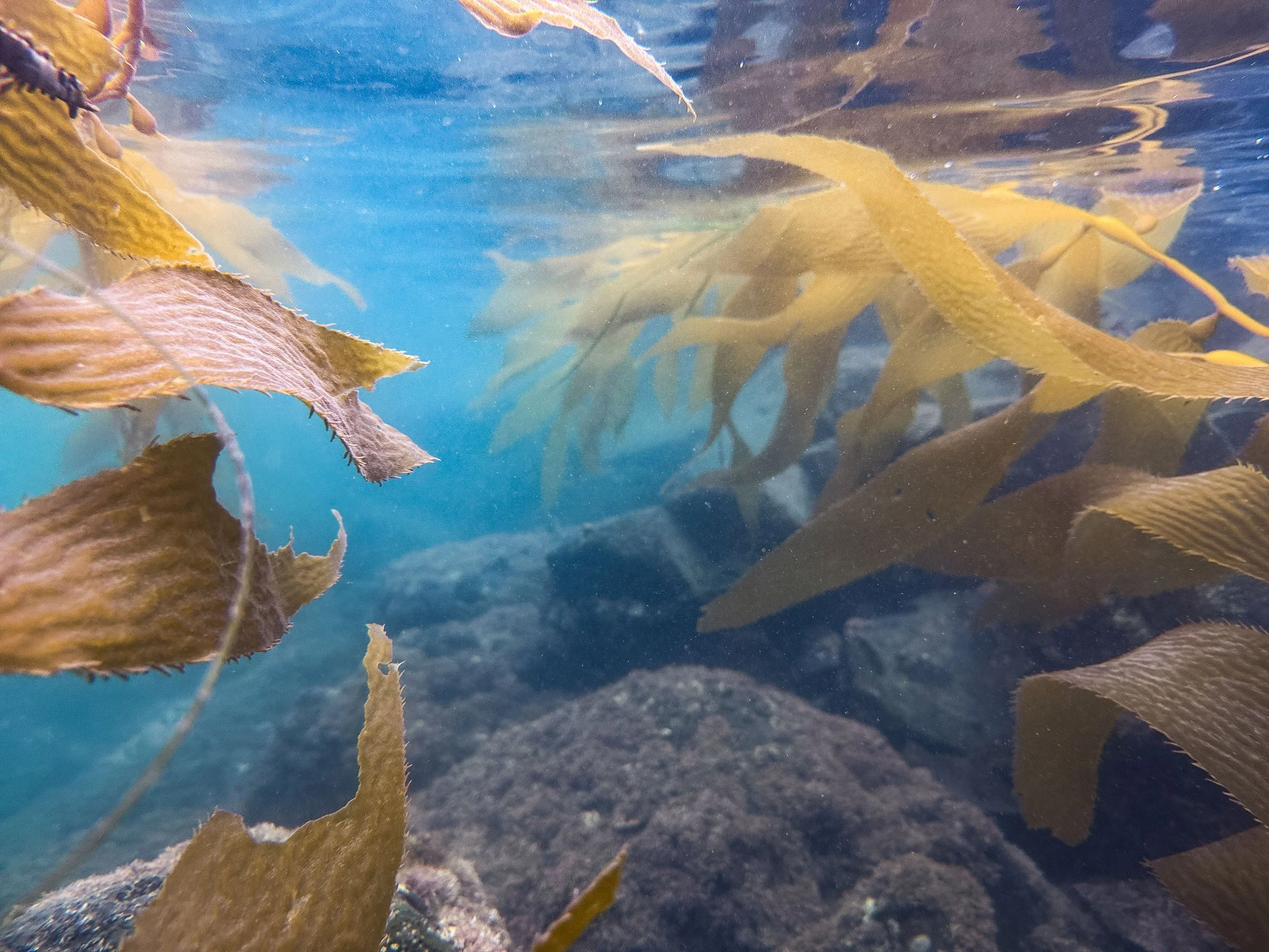 Underwater