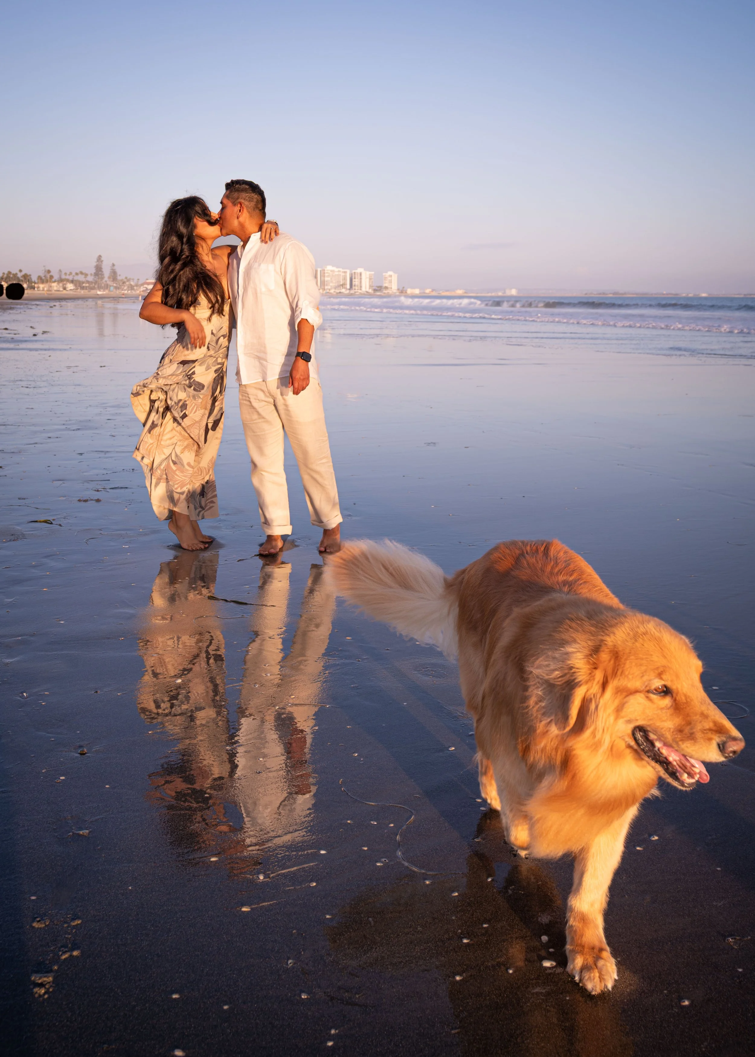 A couple kissing on a beach with a golden retriever walking nearby. The ocean and buildings are visible in the background, and the scene is lit with warm sunlight.
