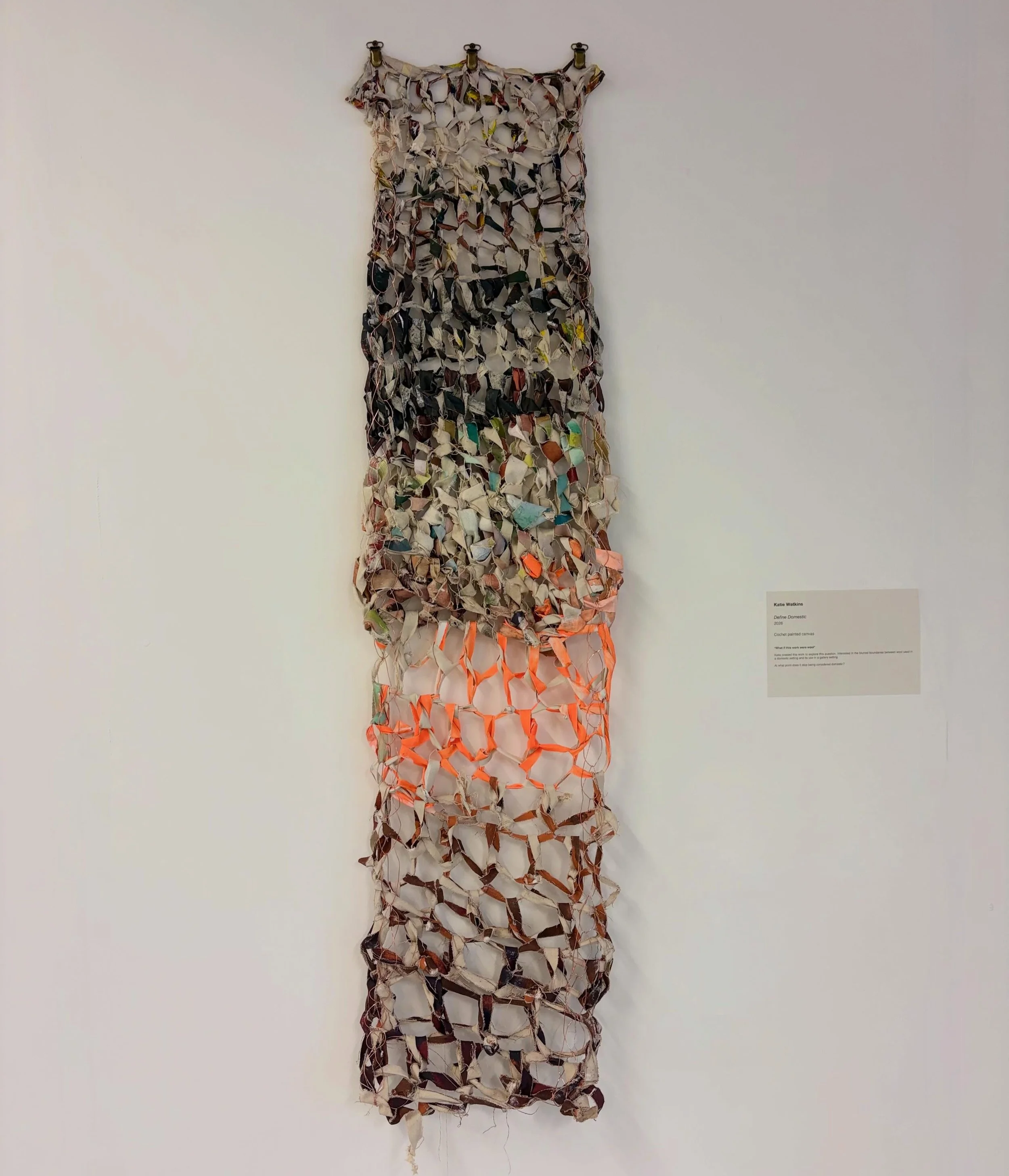 Define Domestic
2026
Cochet painted canvas.
*What if this work were wool*
Katie created this work to explore this question. Interested in the blurred boundaries between wool used in a domestic setting and its use in a gallery setting.
At what point d