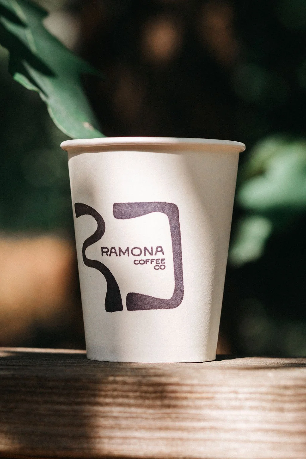 A disposable coffee cup with the logo of Ramona Coffee Co, placed on a wooden surface with green foliage in the background.