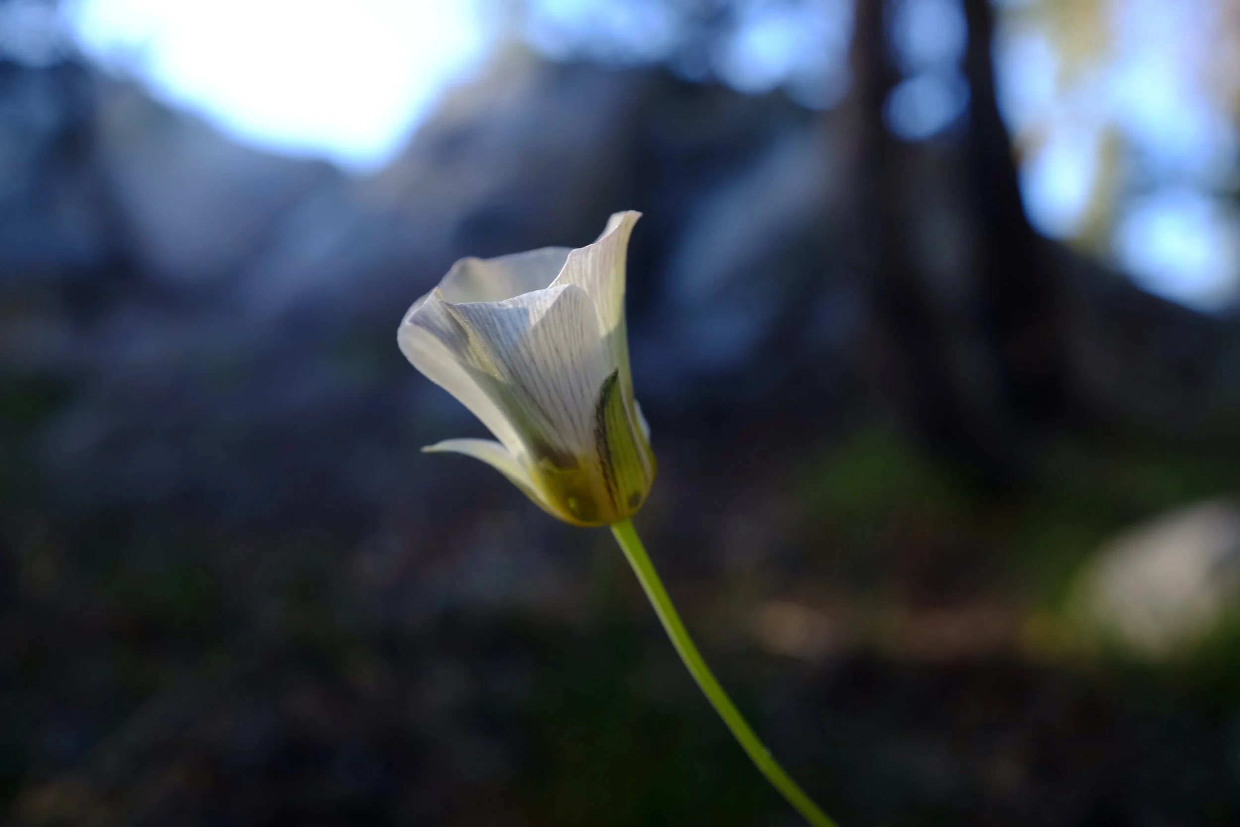 13 Books on Grief