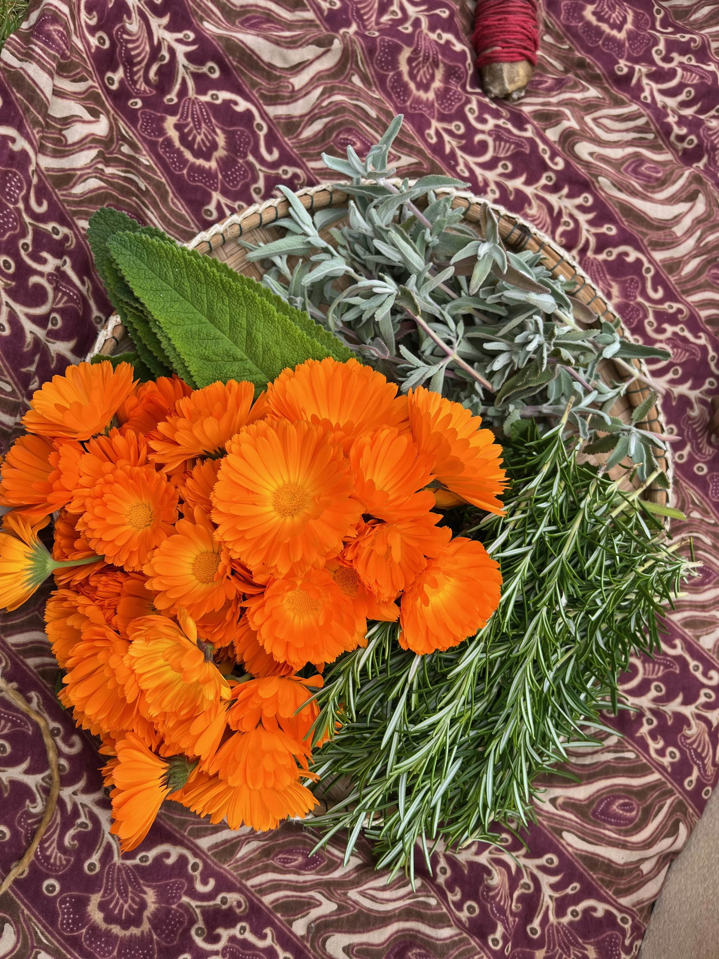 7 Books on Intergenerational Healing