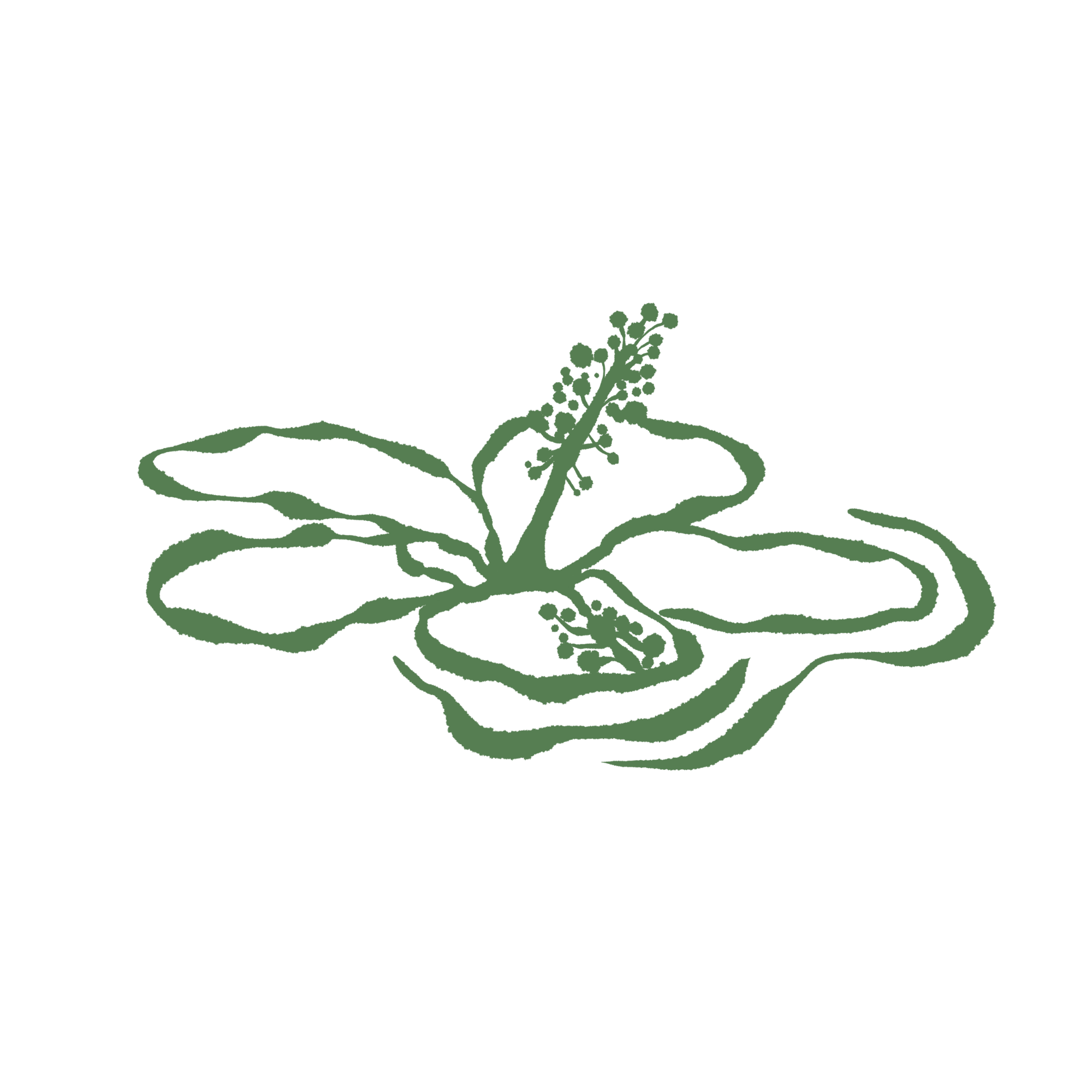 An illustration of a plant with roots, leaves, and flowers on a black background.
