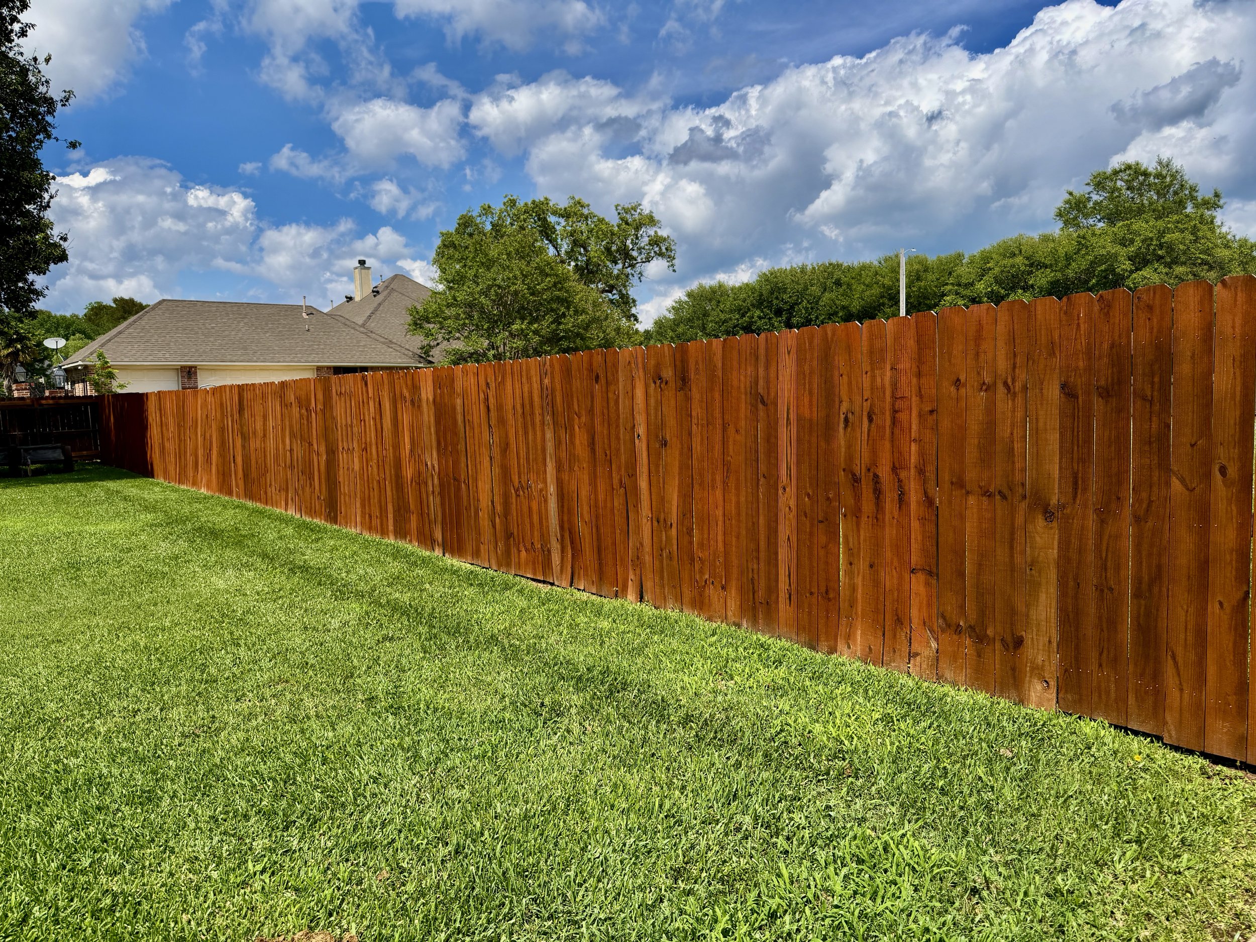 A backyard scene showing a green lawn, a wooden fence, trees, and a house with a gray roof under a partly cloudy sky.