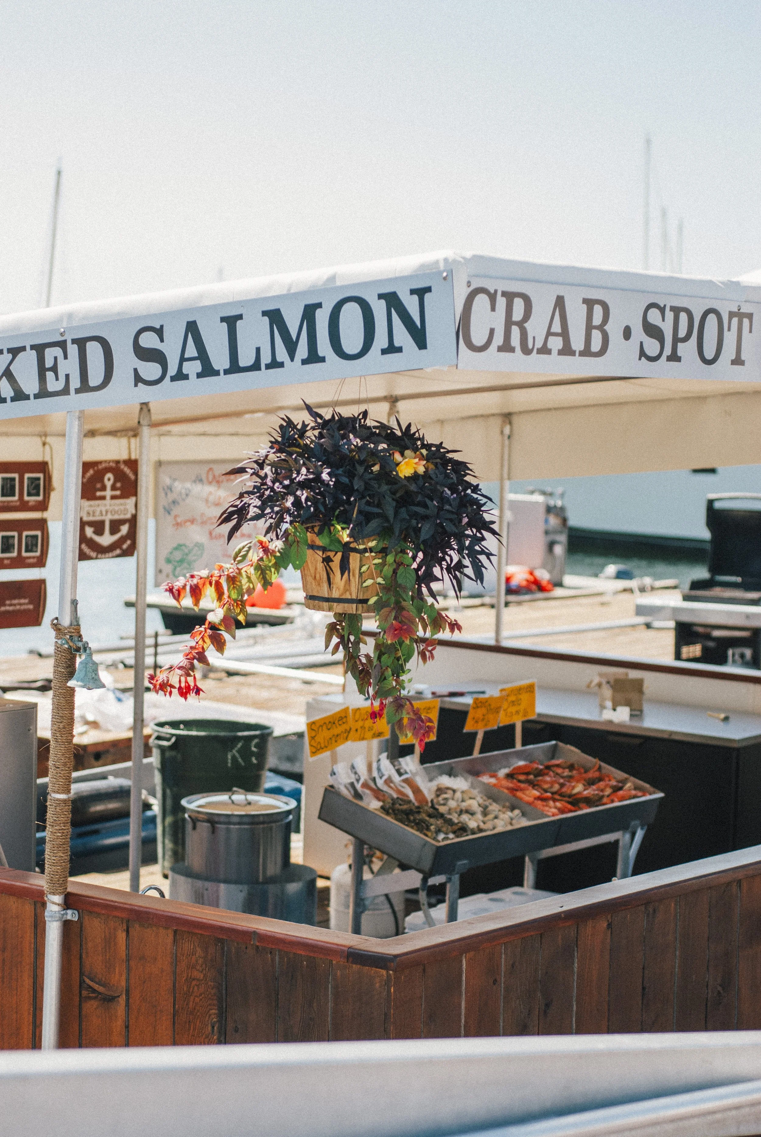 Seafood stand with signs reading smoked salmon and crab spot, featuring a potted plant with dark leaves and colorful flowers, setting with boats and water in the background.