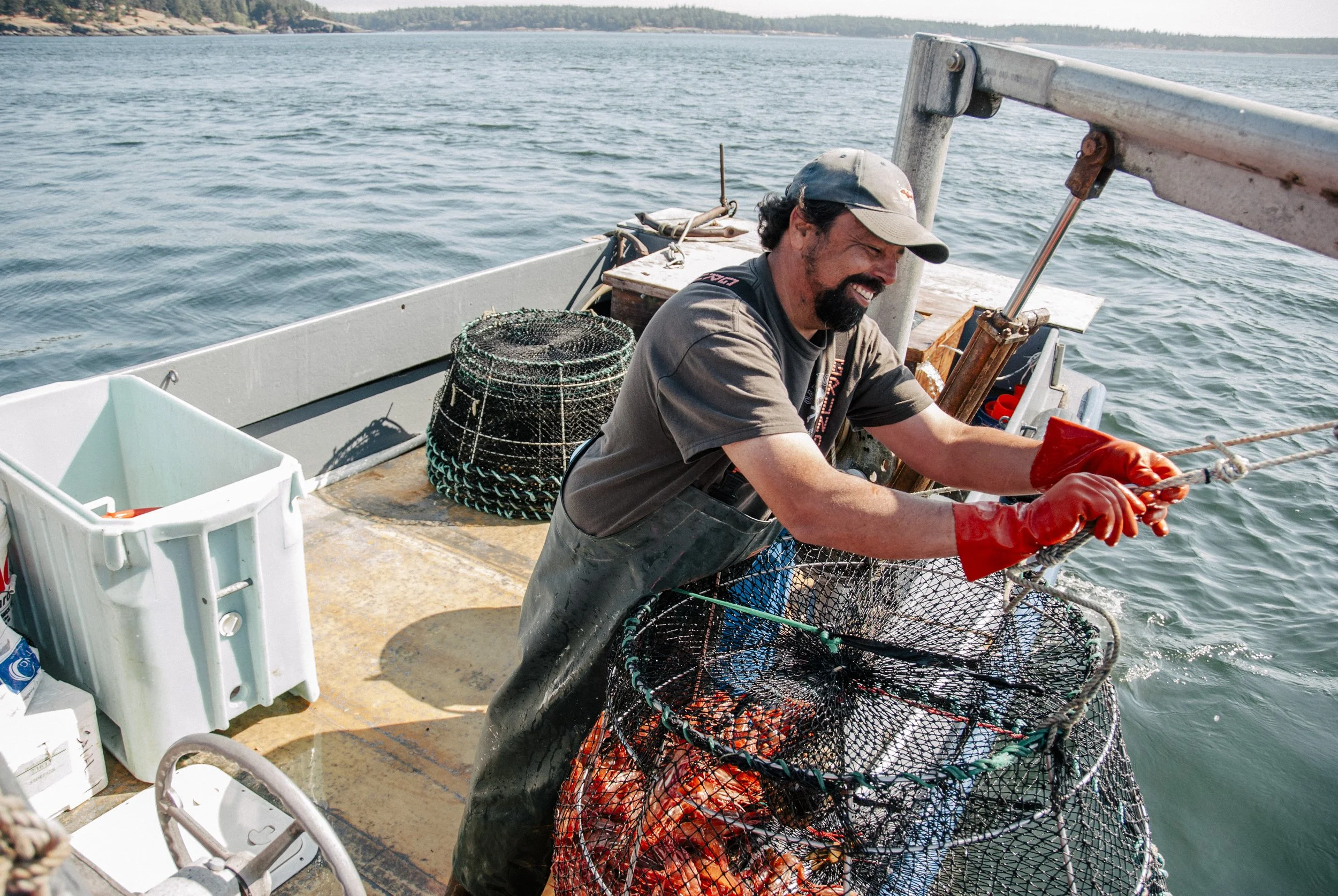 A fisherman in rubber gloves on a boat pulls a shrimp trap out of the water, with calm water and distant shoreline in the background.