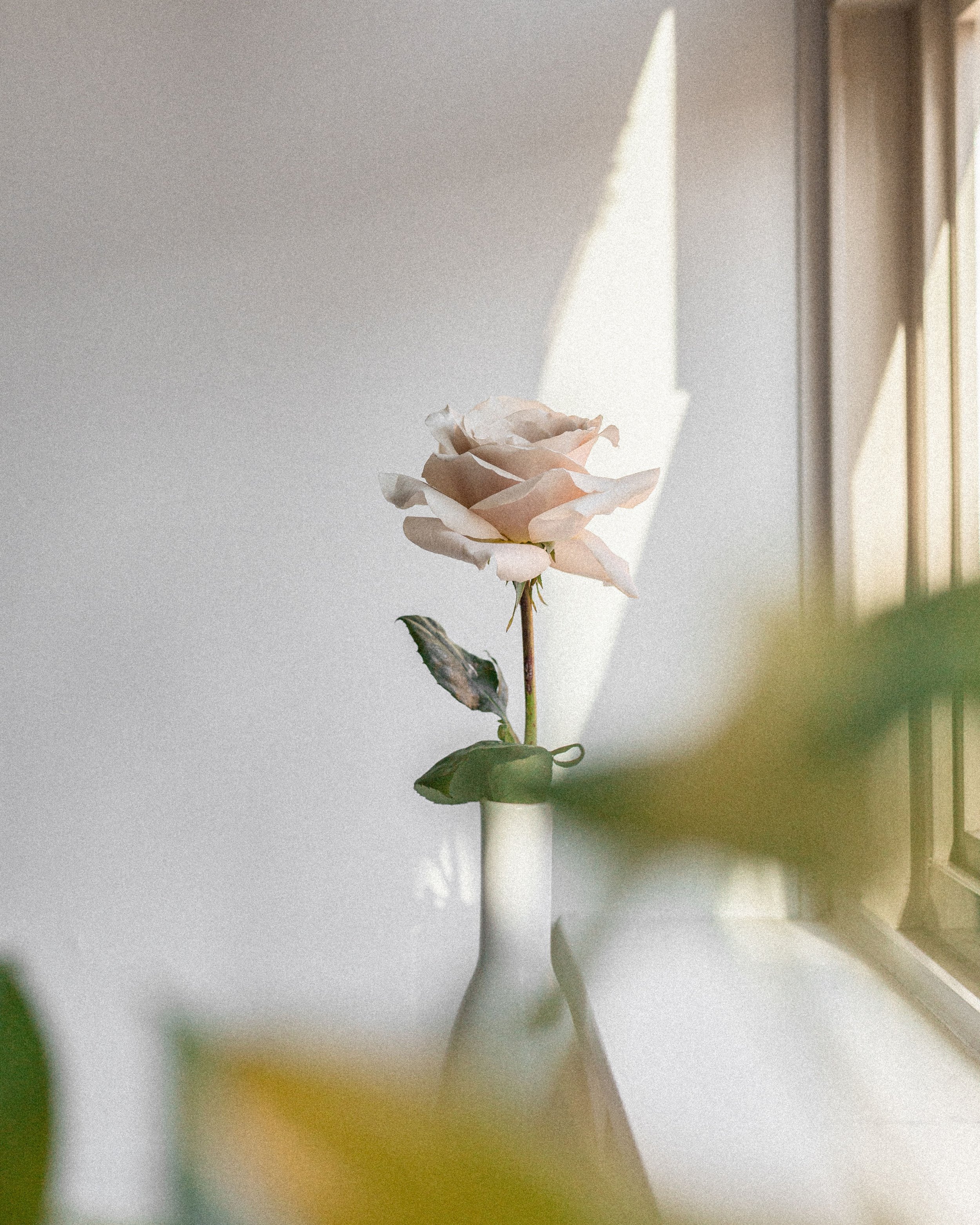 What Is Energy Work? What It Actually Feels Like (And Why It Helps With Grief)