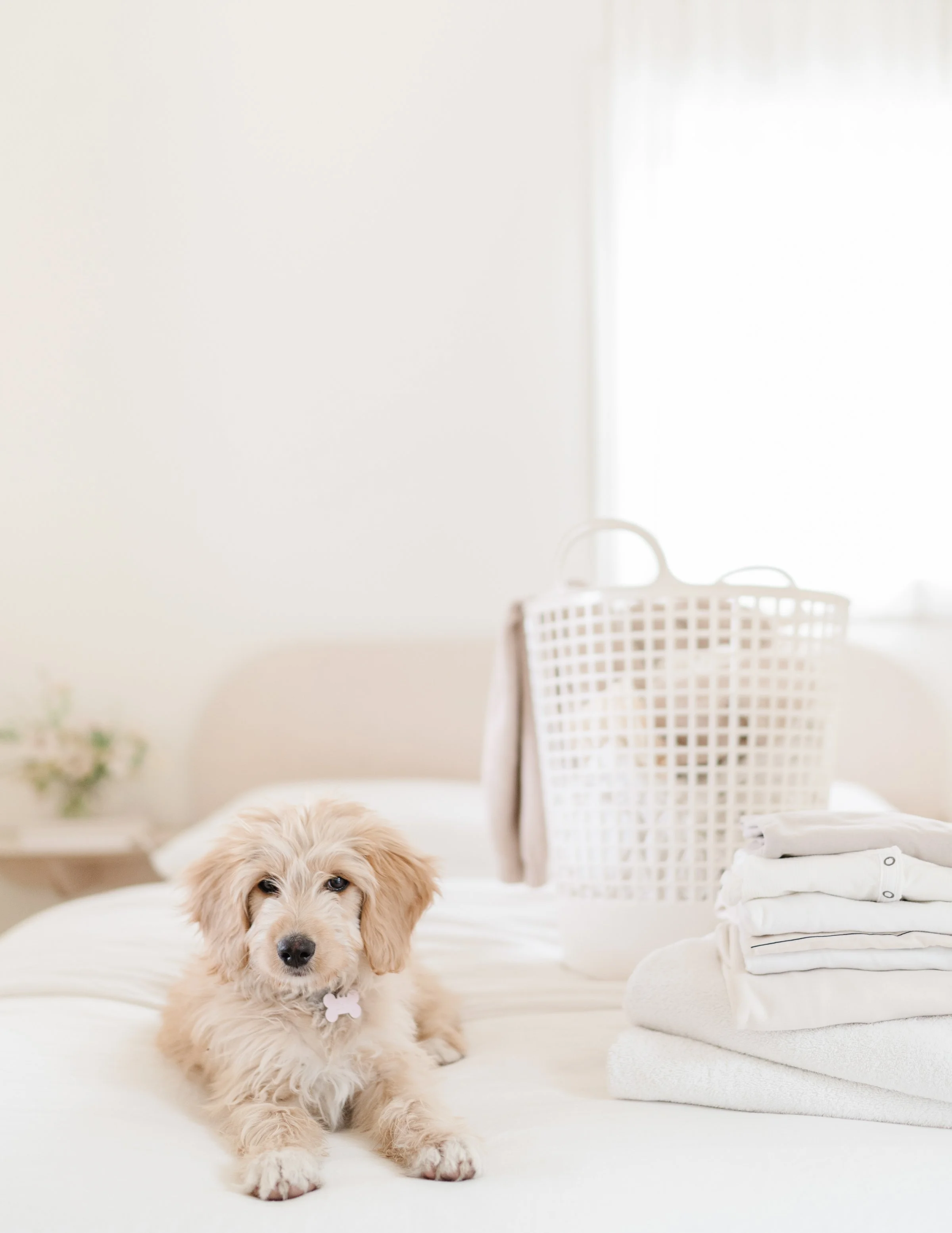 haute-stock-photography-subscription-clean-and-tidy-collection-final-20.jpg