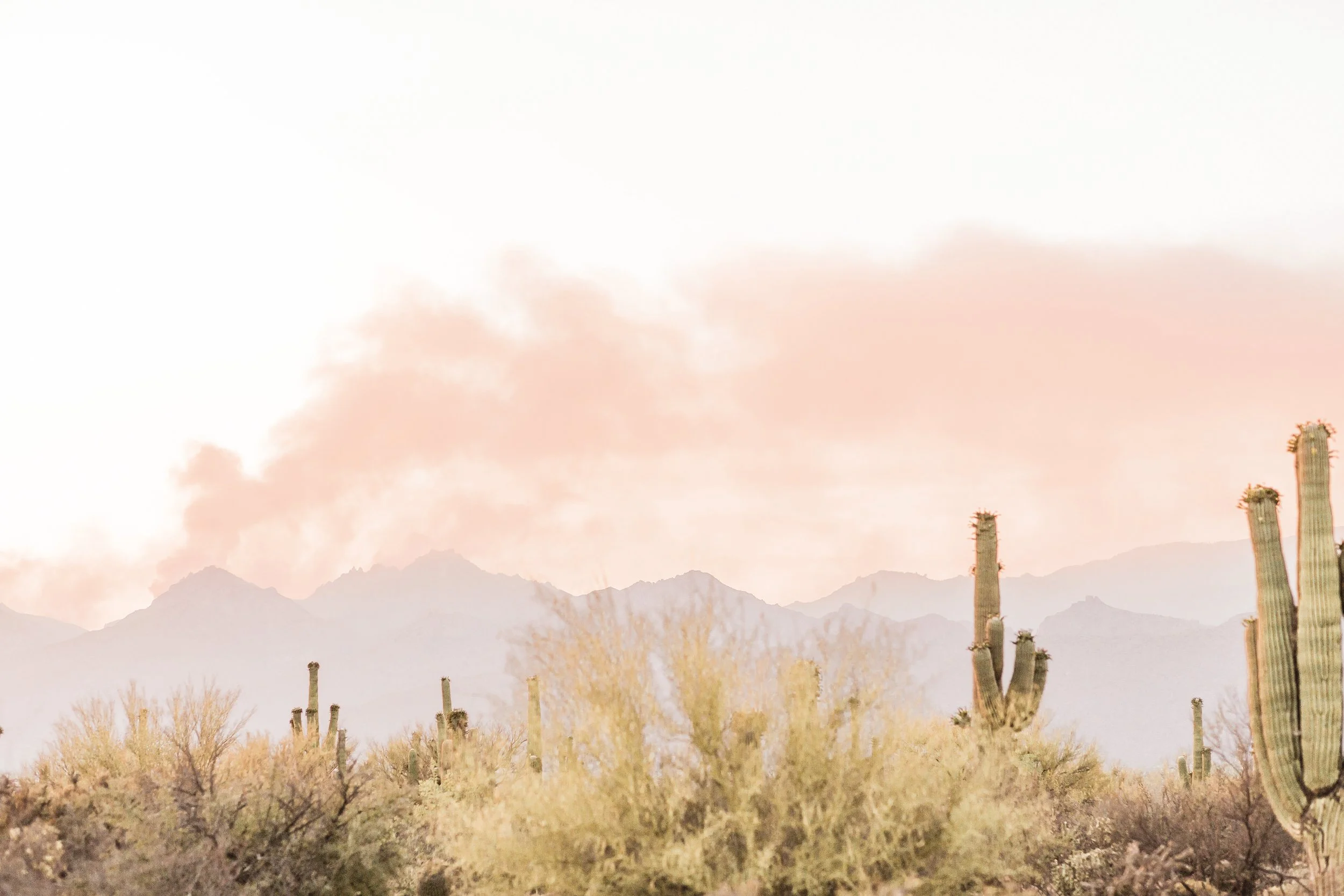 haute-stock-photography-subscription-yoga-in-the-desert-collection-final-5 (1).jpg