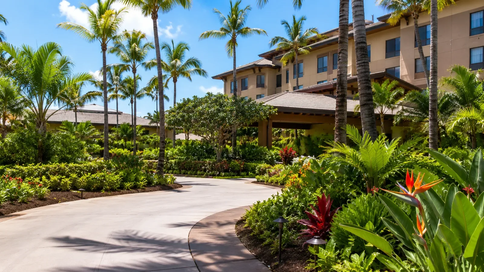 A tropical hotel with lush greenery, palm trees, and a winding concrete pathway leading to the entrance, under a blue sky.