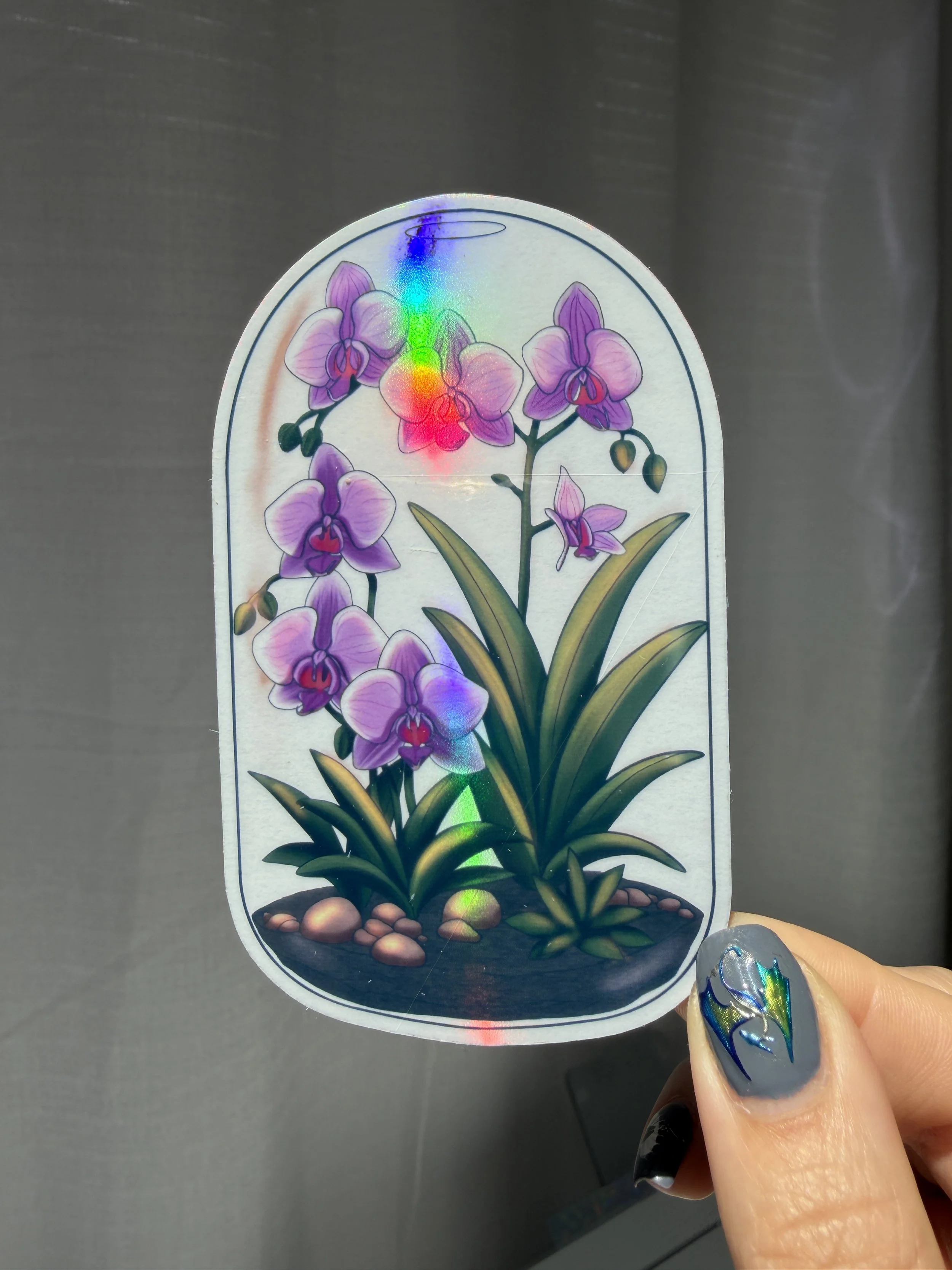 Orchid Terrarium Transparent Holo Sticker