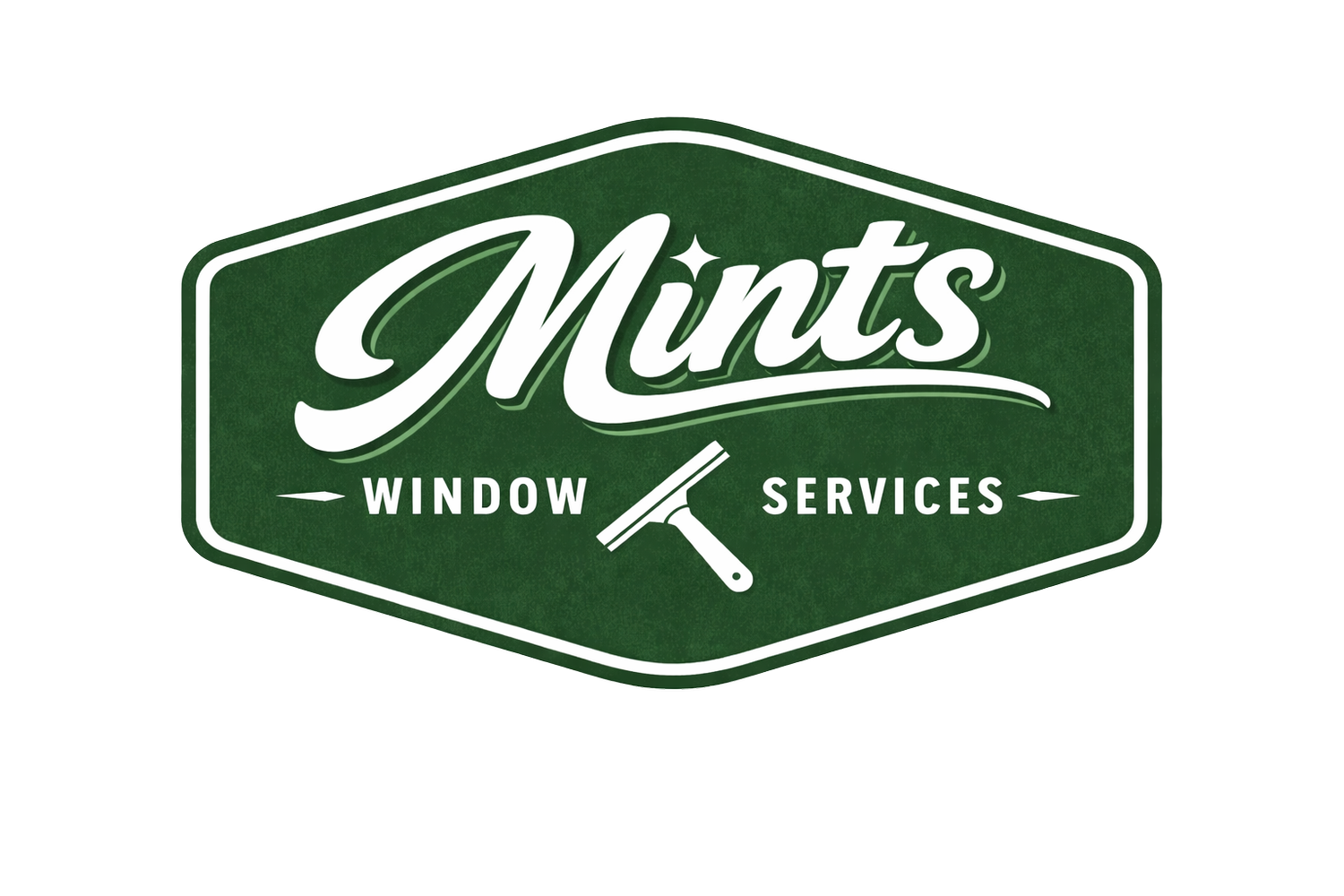 Mint's Window Services