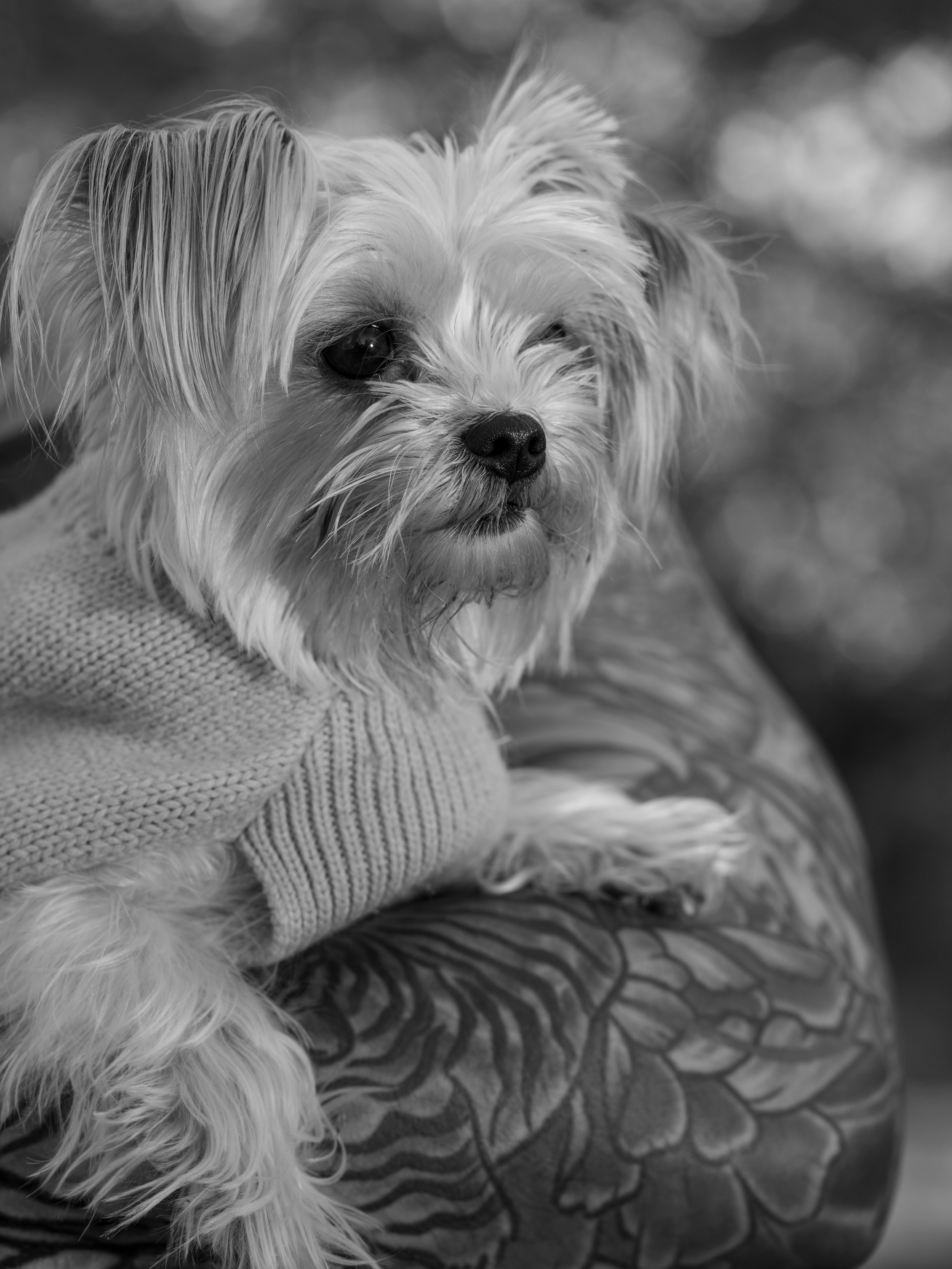 DSC01125.jpg