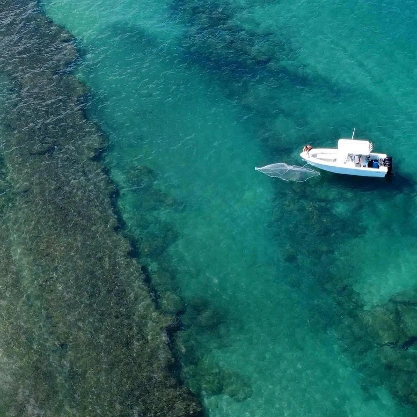 Aerial view of a small white boat anchored near rocks in clear turquoise water with a submerged net nearby.