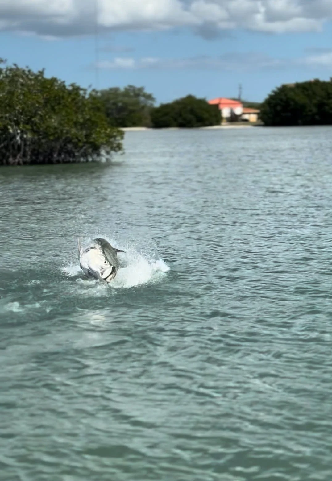 INSHORE FISHING EXPERIENCE