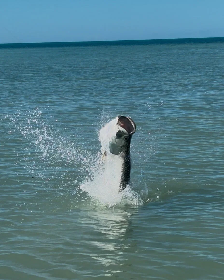 INSHORE FISHING CHARTER EXPERIENCE