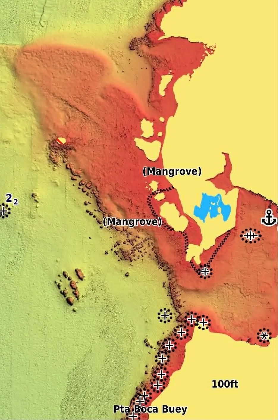 A topographic map of a coastal area with mangroves, marked locations, and depth indicators, including labels for Cabo Rojo and other features.
