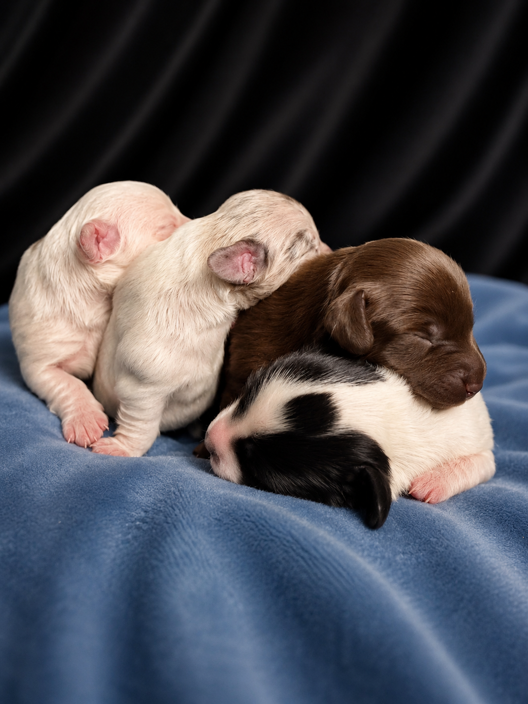 C944B8D3-3515-4D81-A836-9409D633F3C9.png