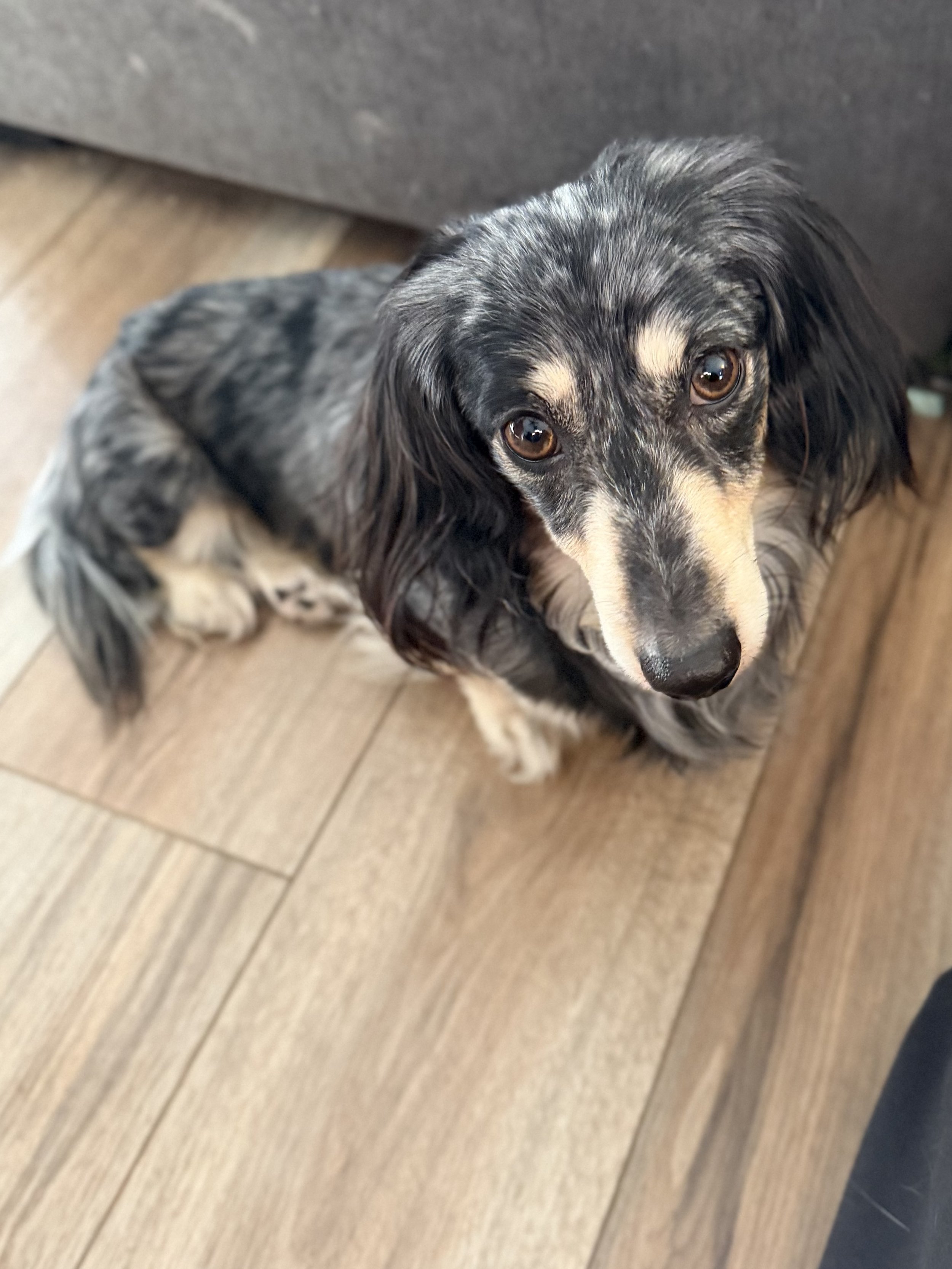 IMG_7319.jpeg