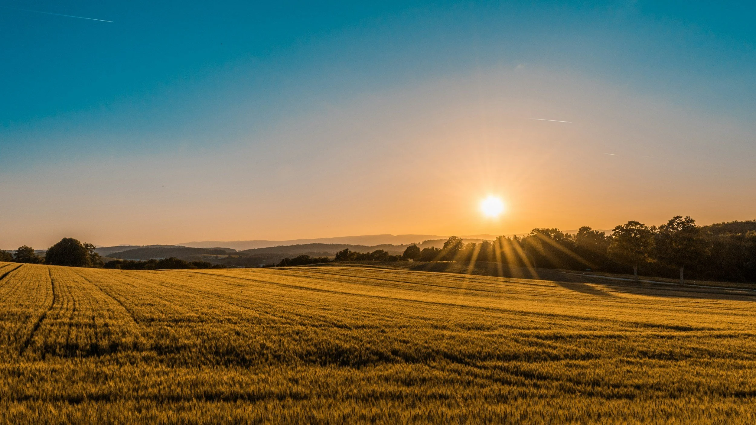 A rural landscape during sunrise or sunset with golden fields, a few trees, and a mountain range in the distance under a blue sky with the sun near the horizon and sun rays shining over the land.