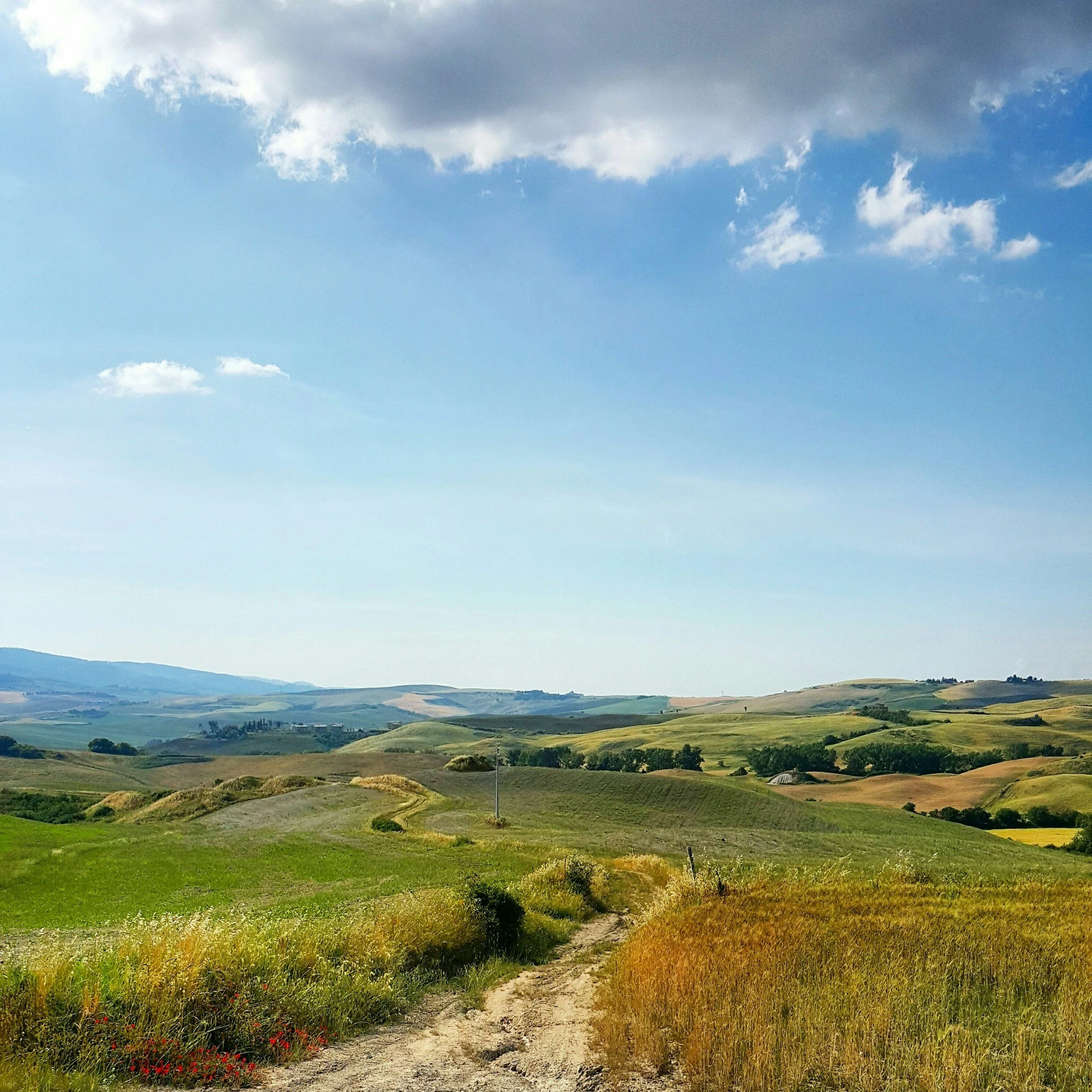 Scenic landscape of rolling green hills under a blue sky with scattered white clouds, a dirt path winding through the fields.