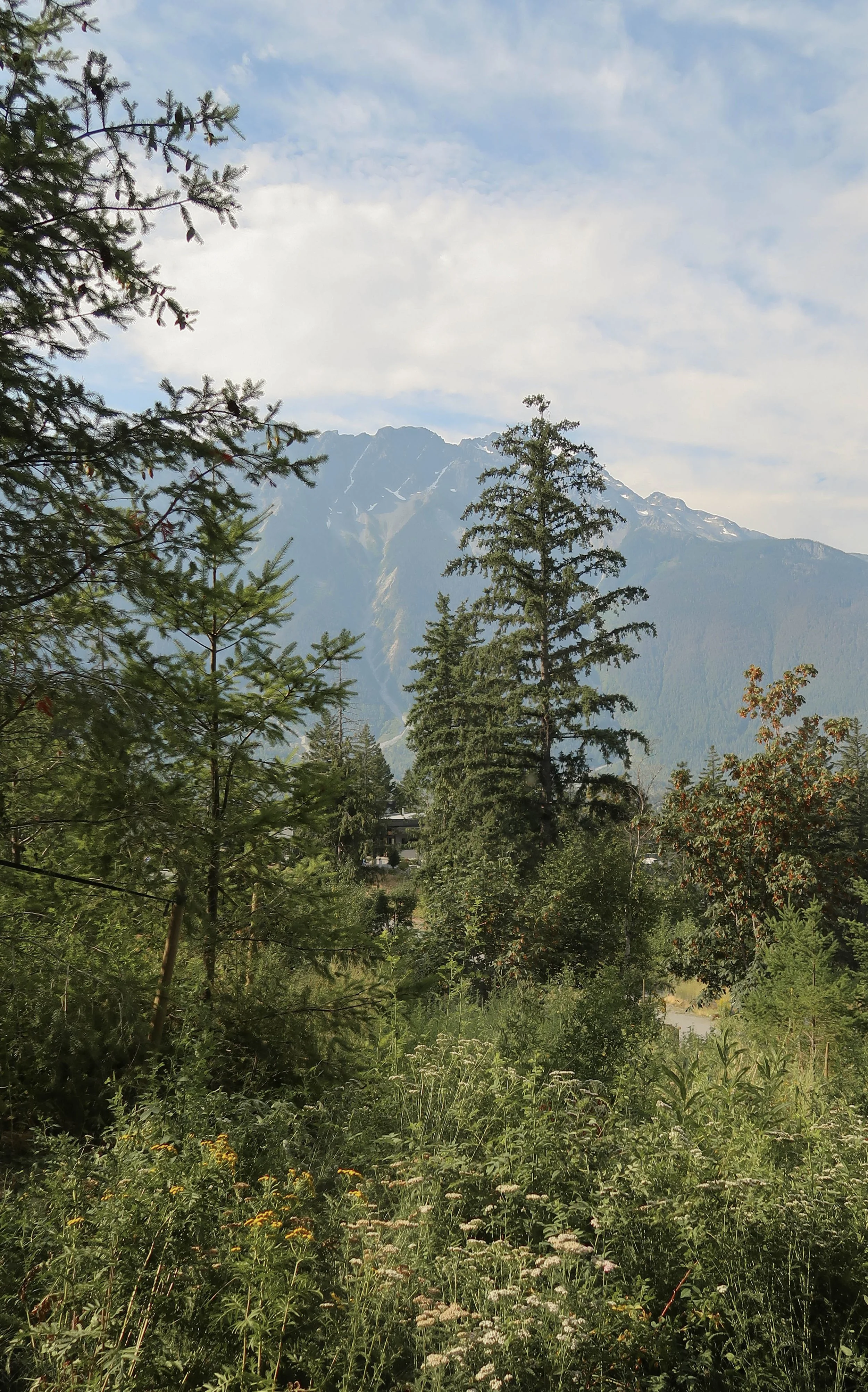 IMG_1830-2.jpg