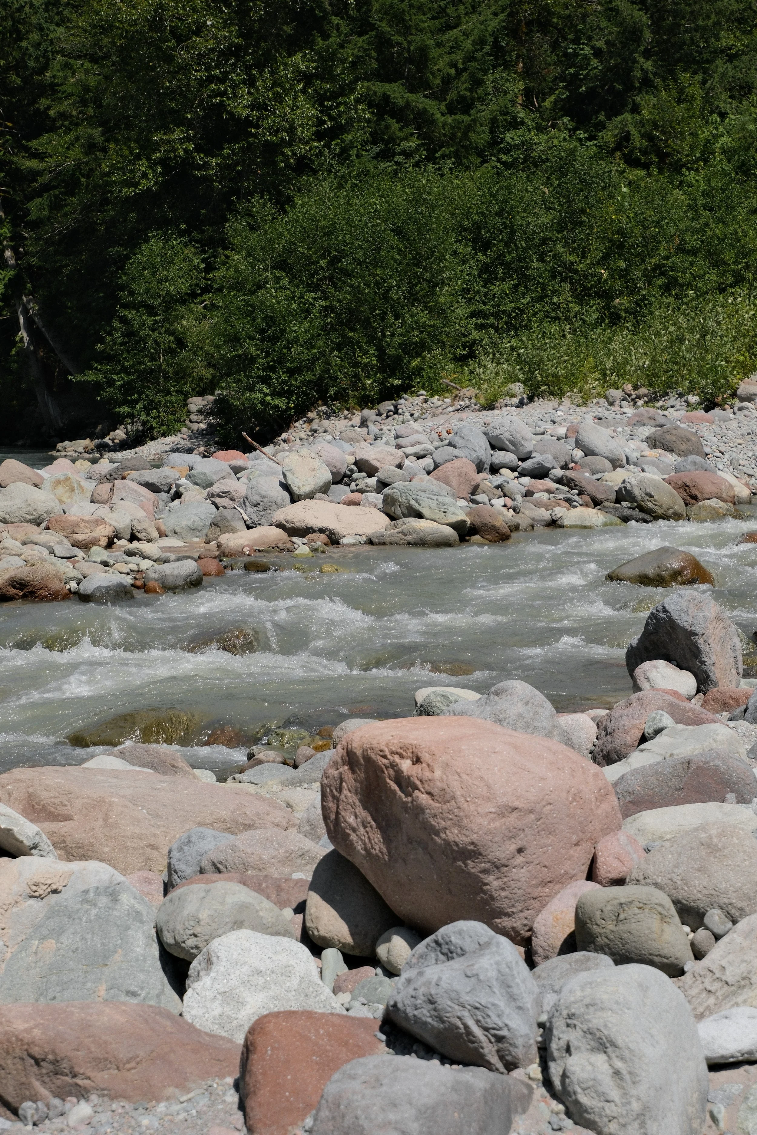 DSCF1895.jpg